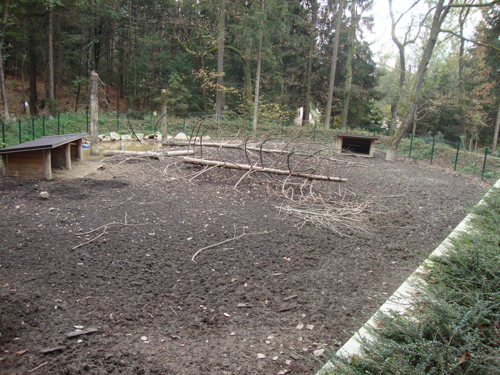 Ljubljana Zoo October 2013