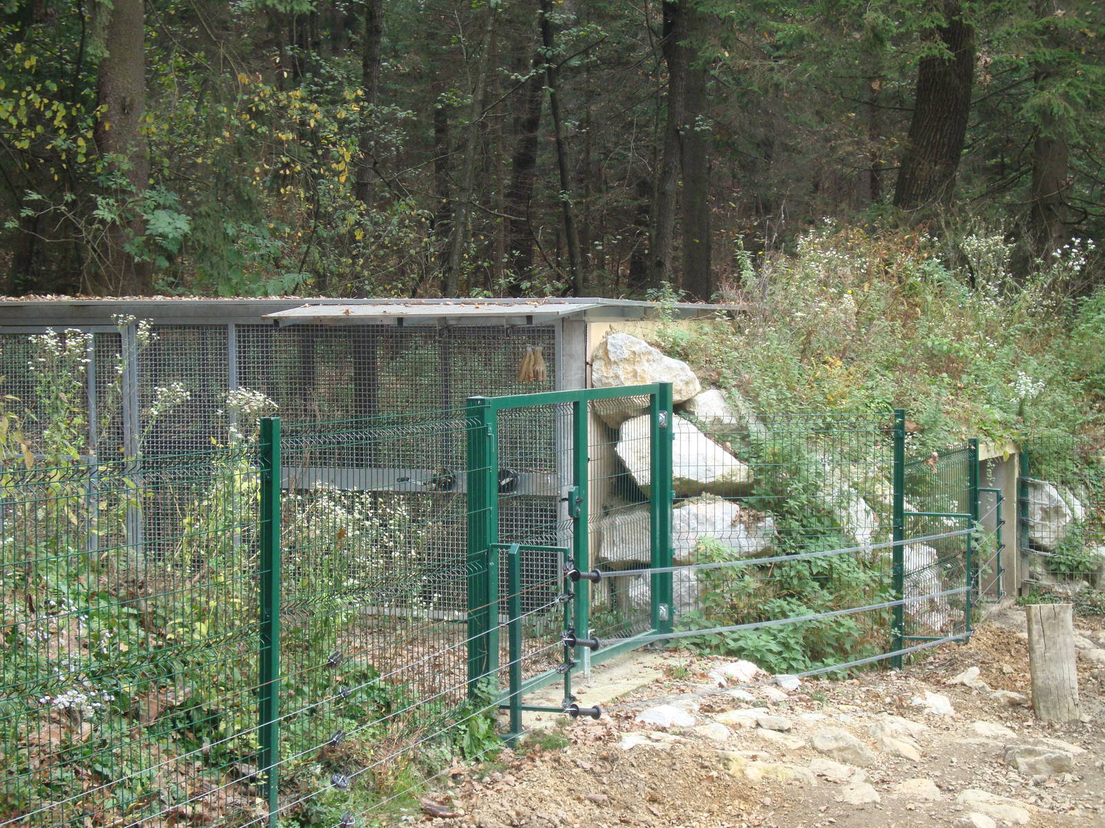 Ljubljana Zoo October 2013