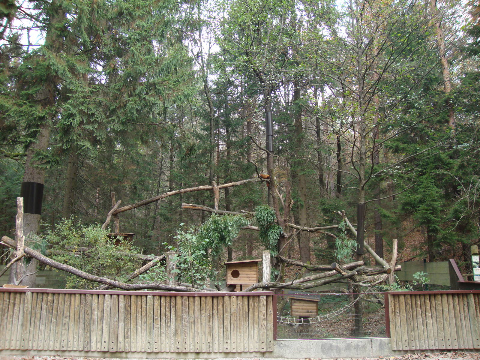 Ljubljana Zoo October 2013