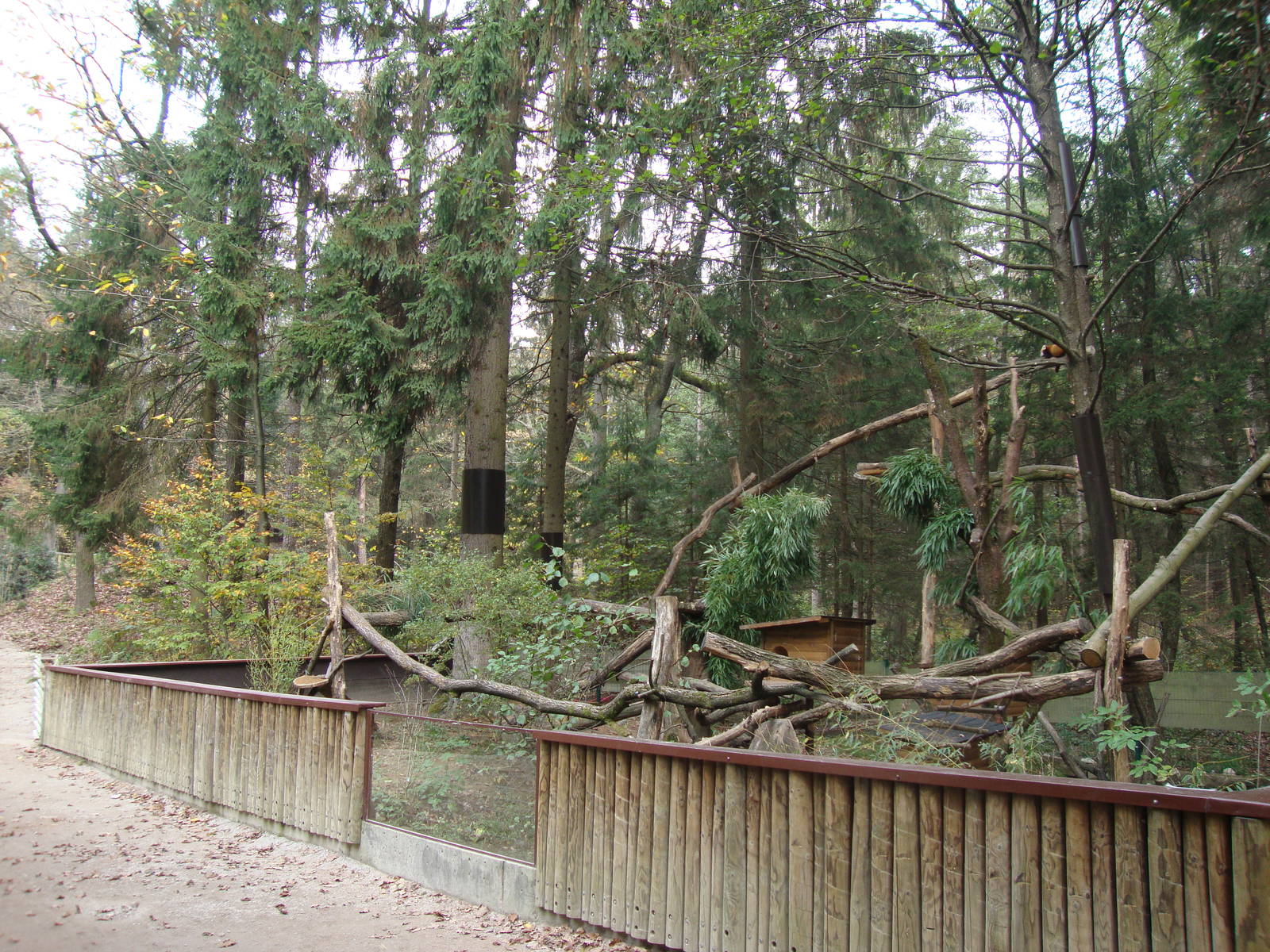 Ljubljana Zoo October 2013