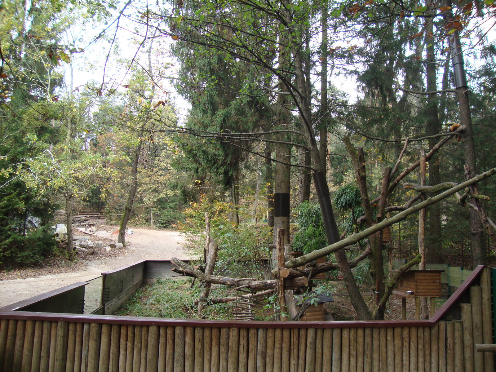 Ljubljana Zoo October 2013
