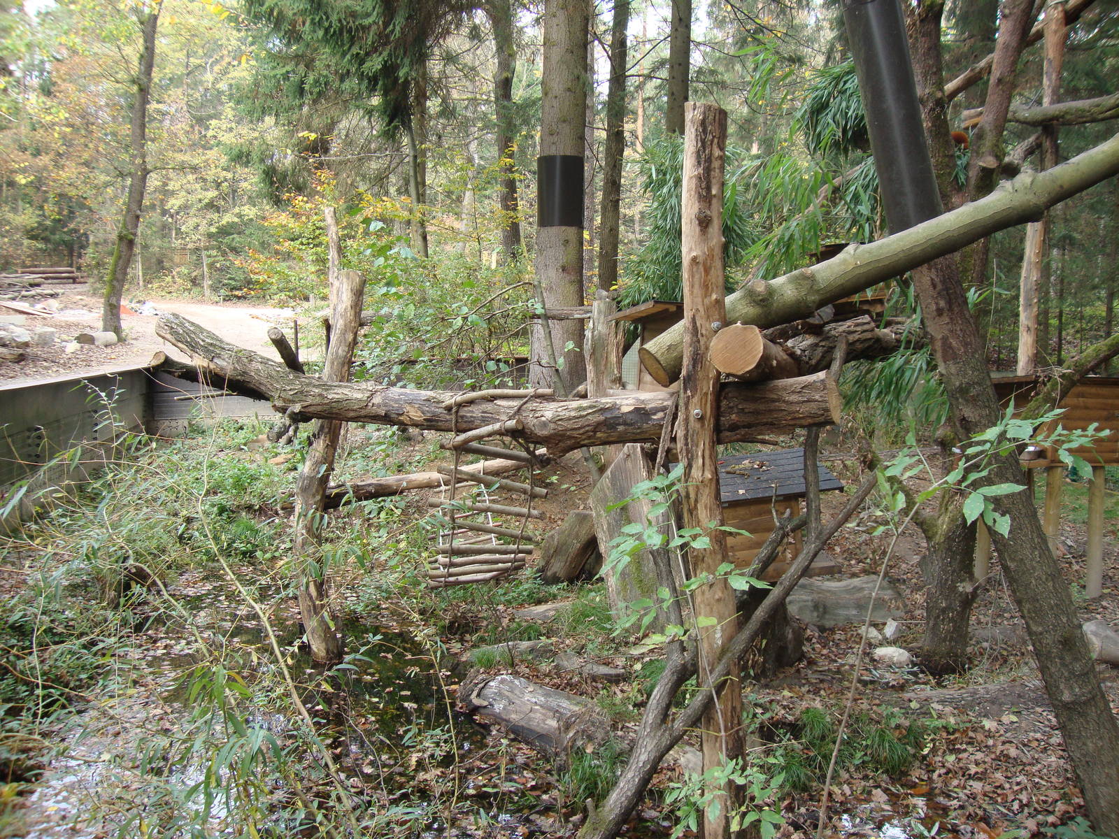 Ljubljana Zoo October 2013