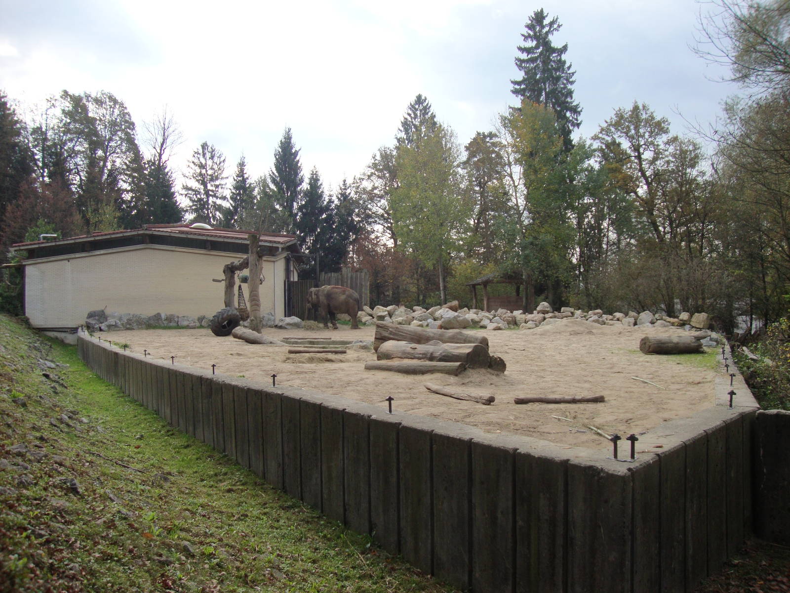 Ljubljana Zoo October 2013
