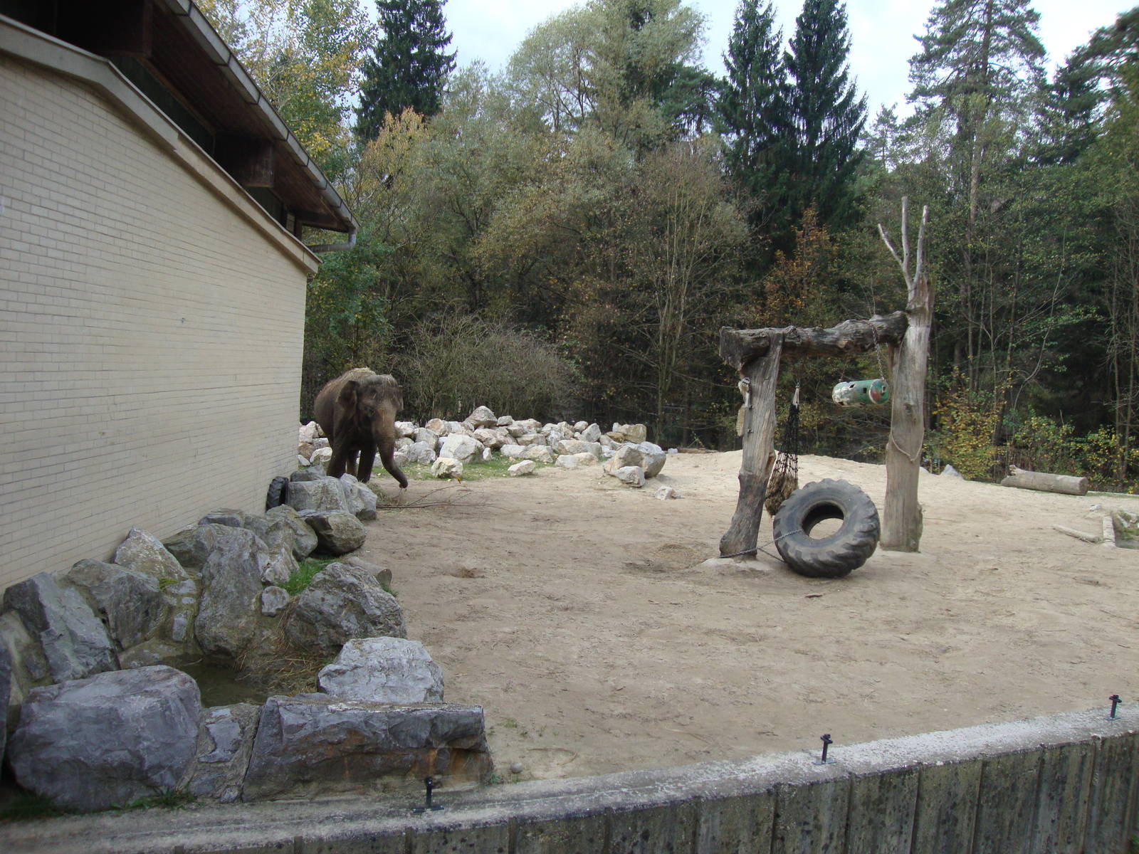 Ljubljana Zoo October 2013