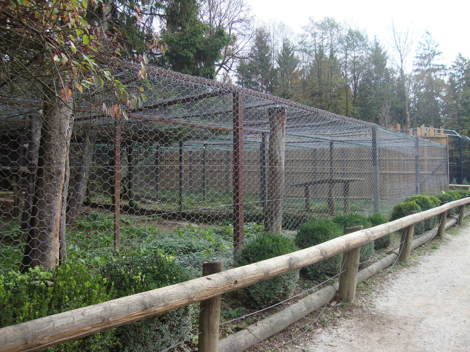 Ljubljana Zoo October 2013