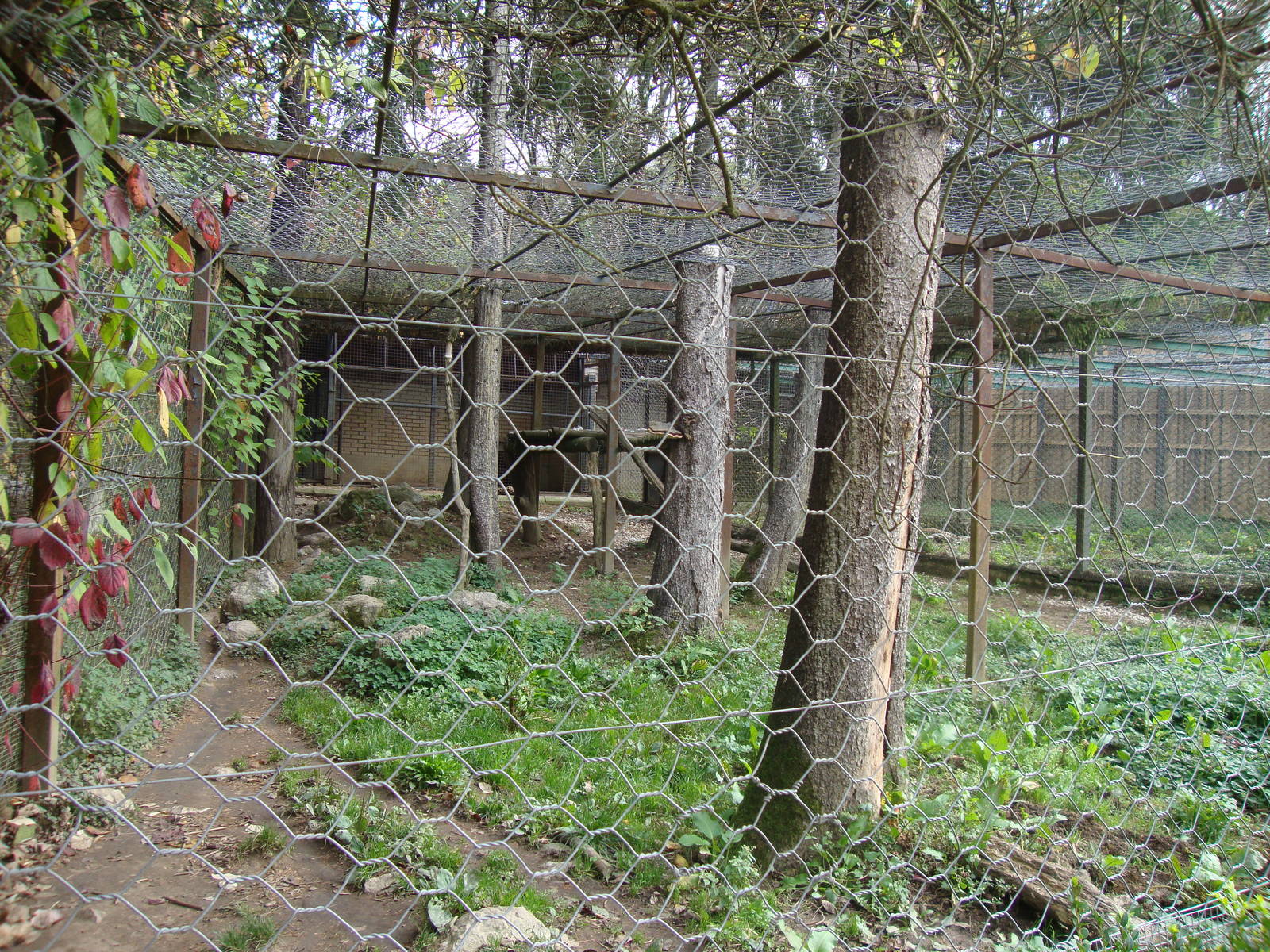 Ljubljana Zoo October 2013