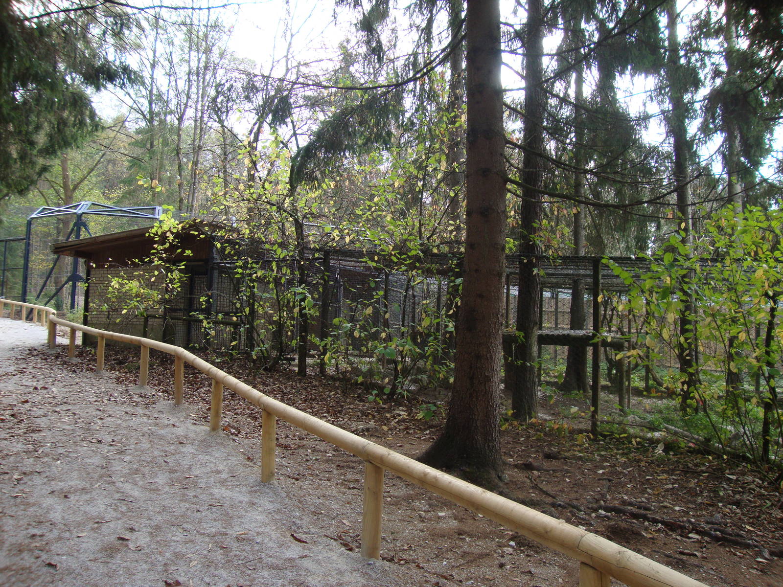 Ljubljana Zoo October 2013