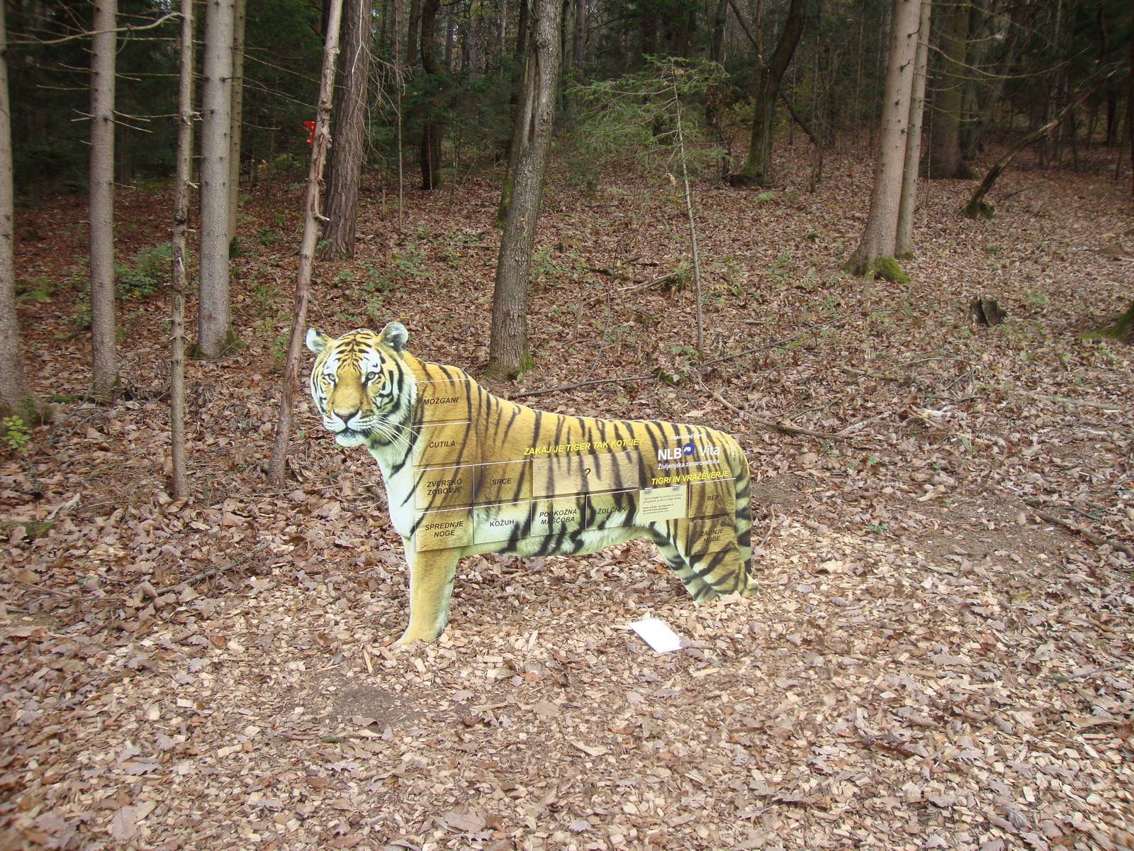 Ljubljana Zoo October 2013