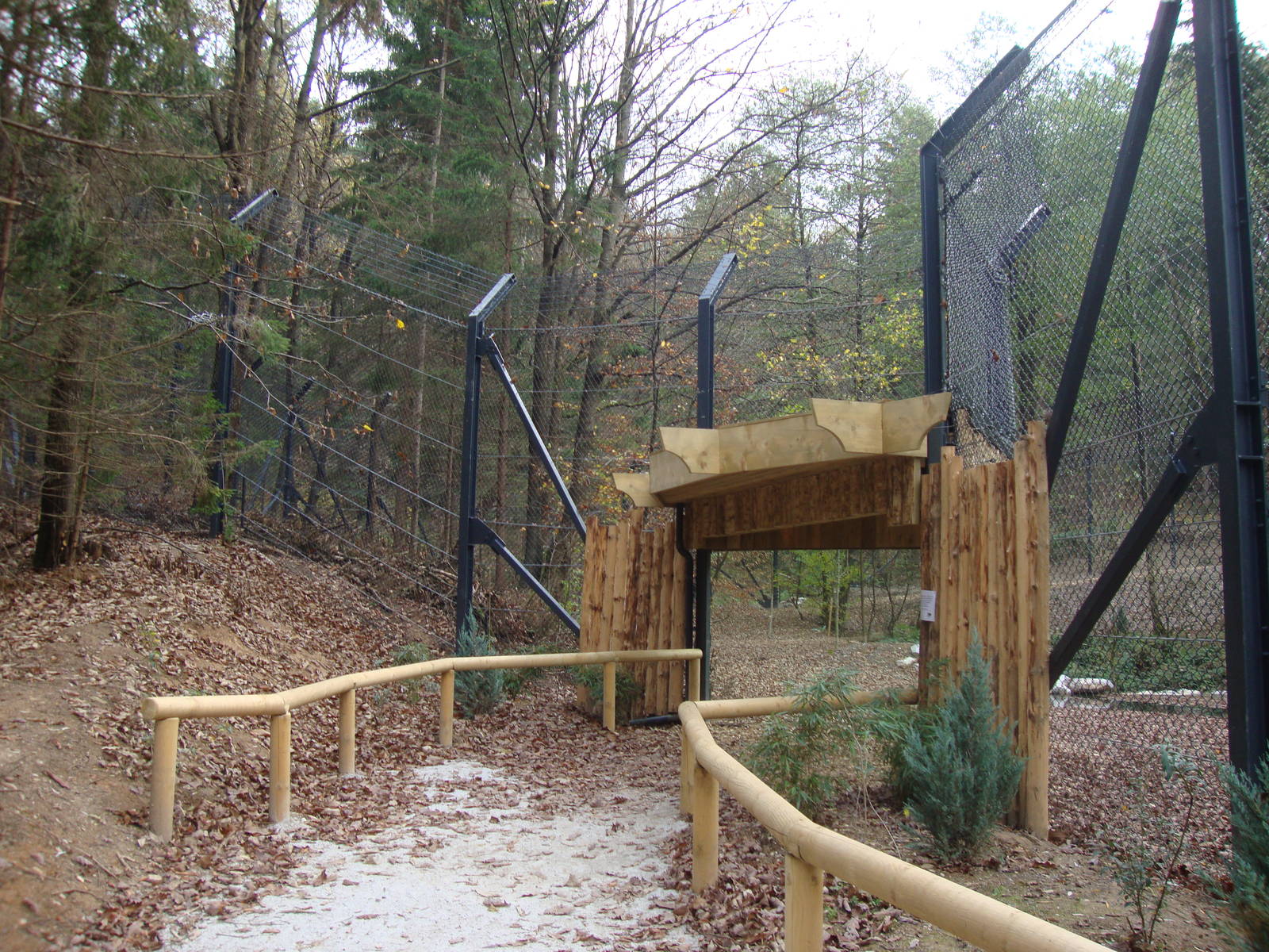 Ljubljana Zoo October 2013