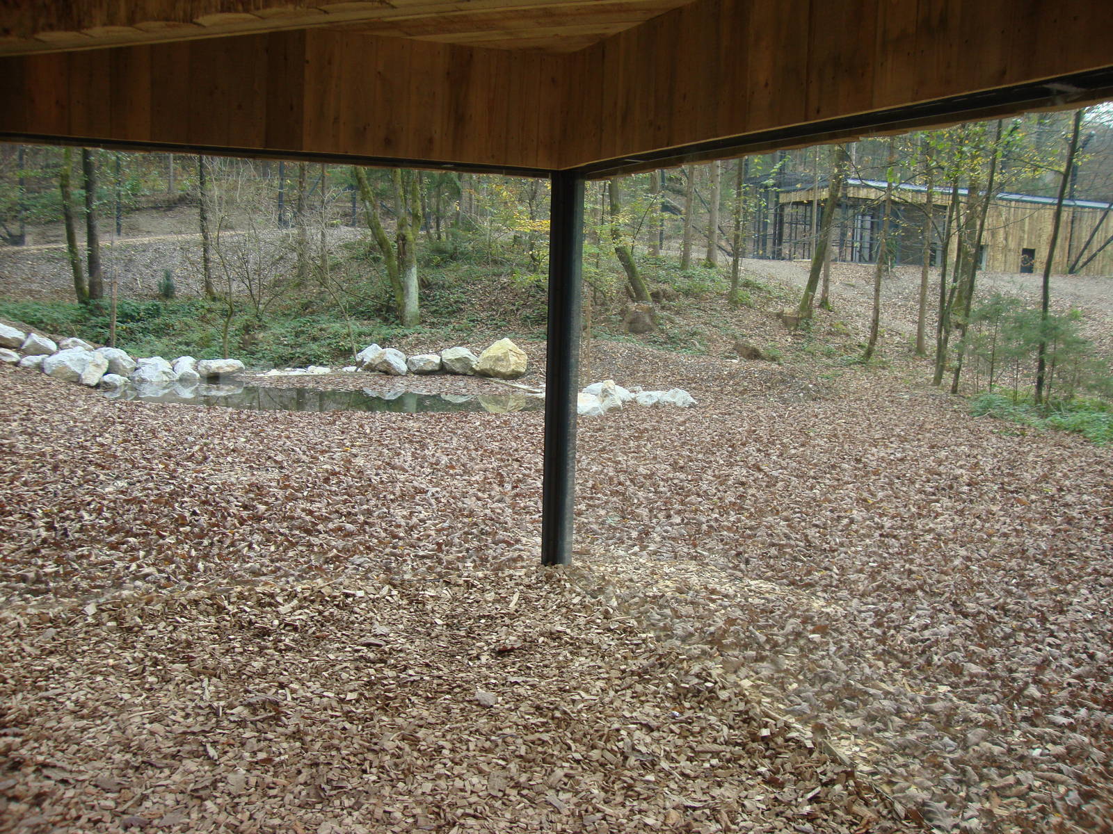 Ljubljana Zoo October 2013