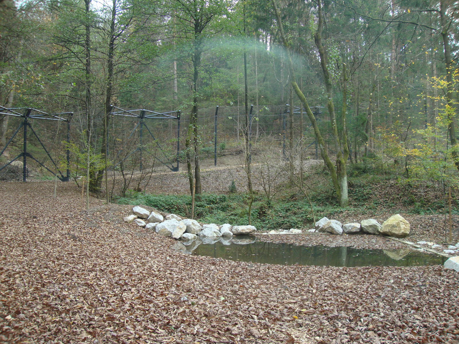 Ljubljana Zoo October 2013