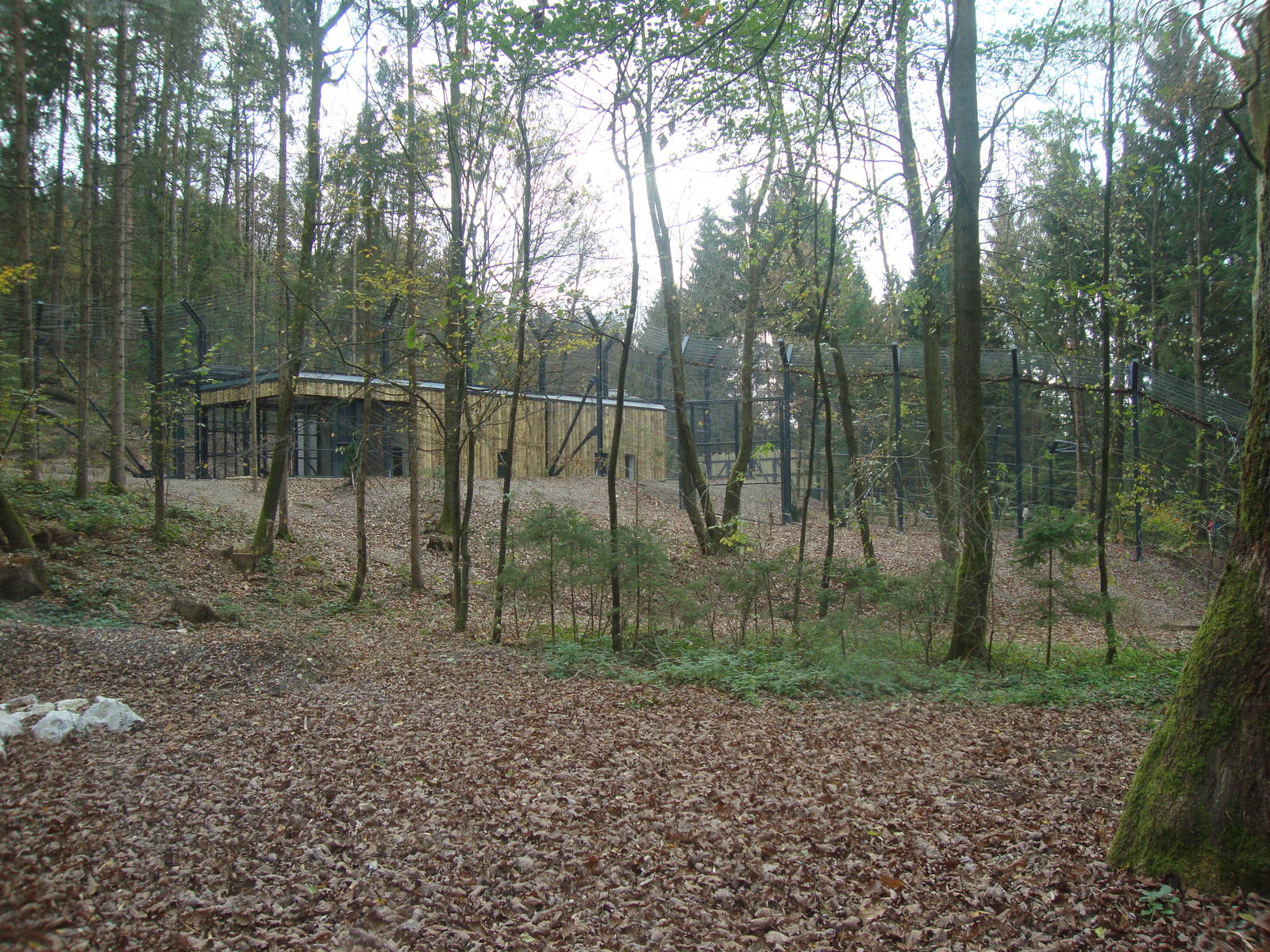 Ljubljana Zoo October 2013