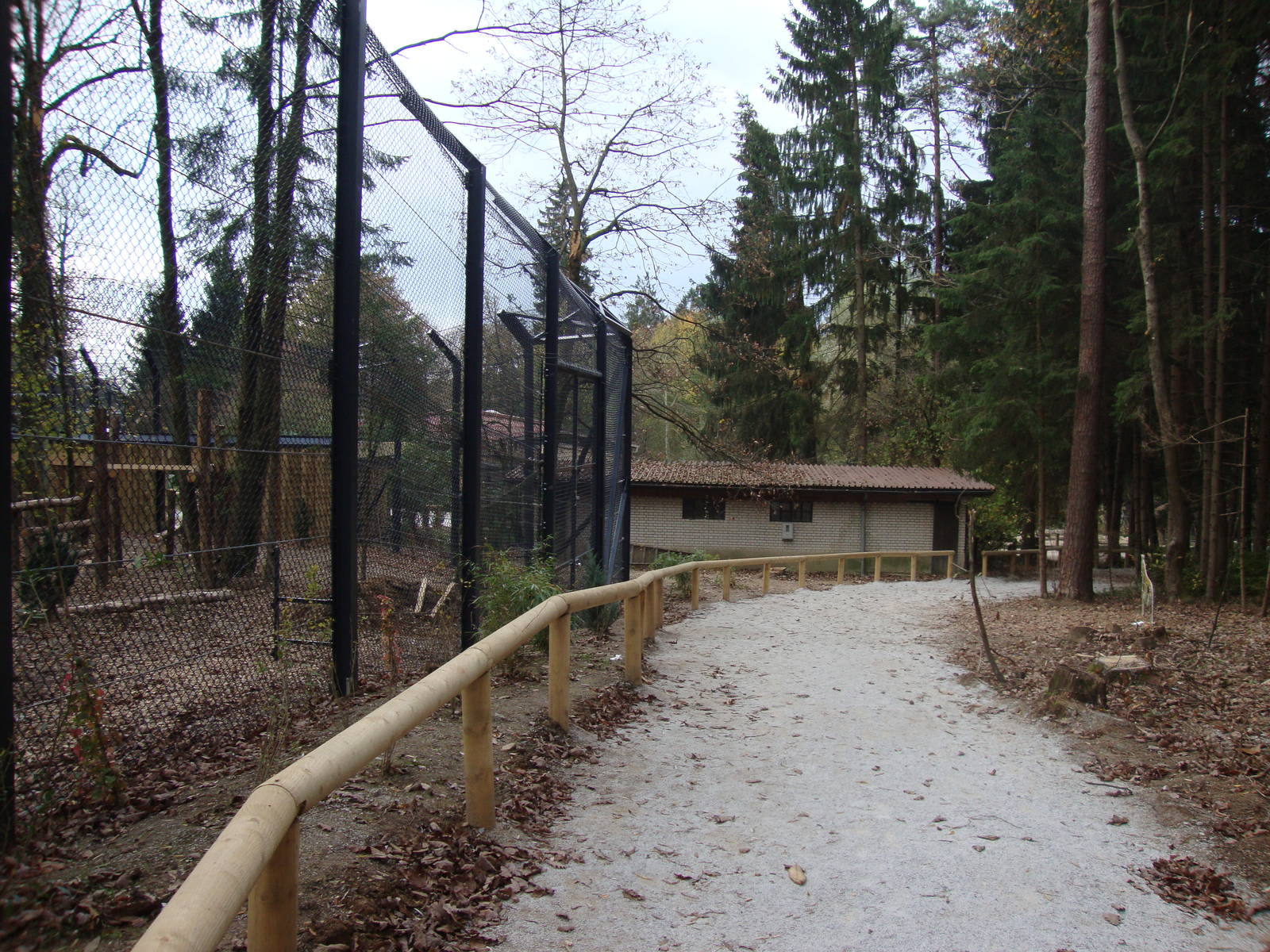 Ljubljana Zoo October 2013
