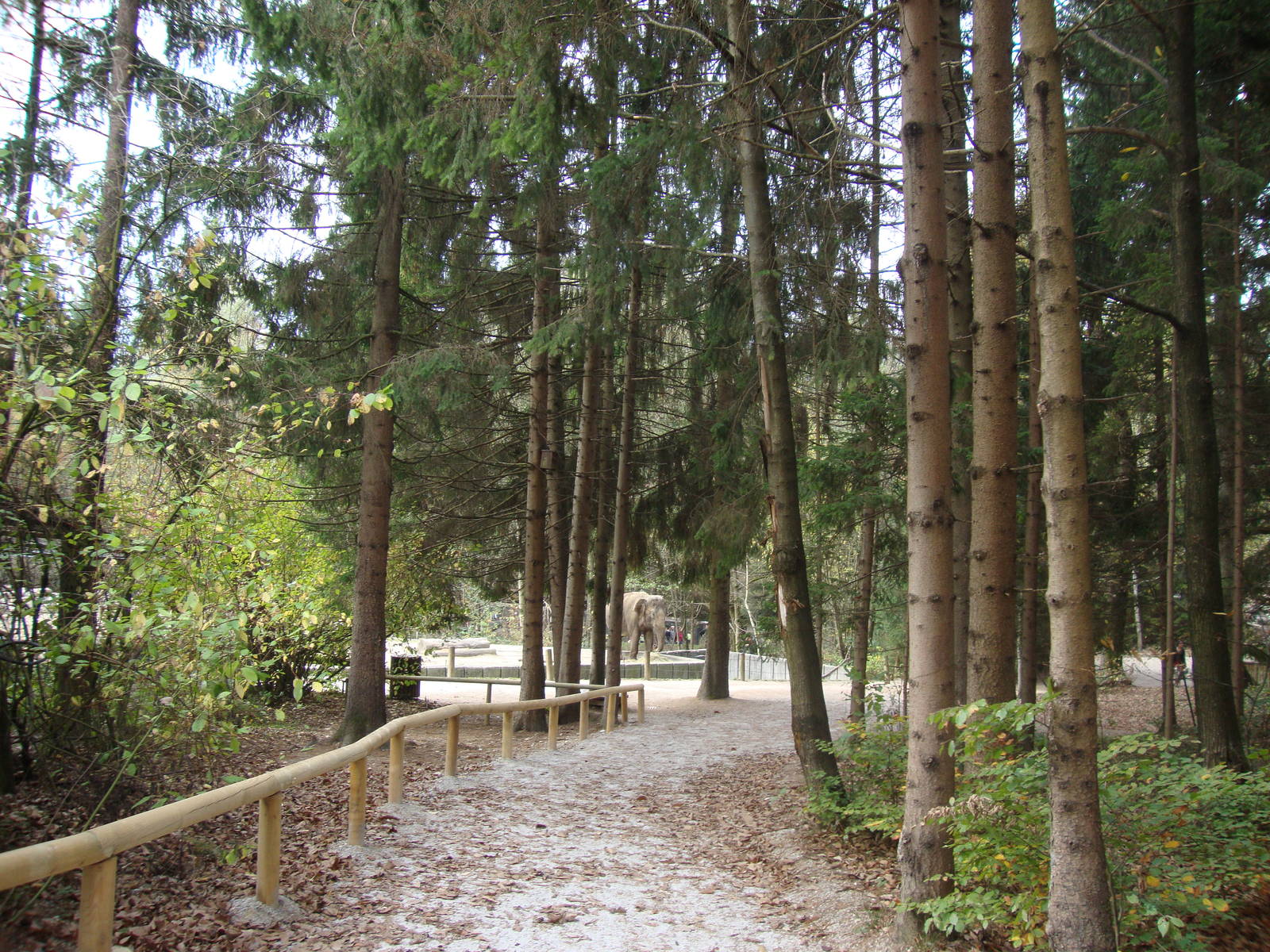 Ljubljana Zoo October 2013