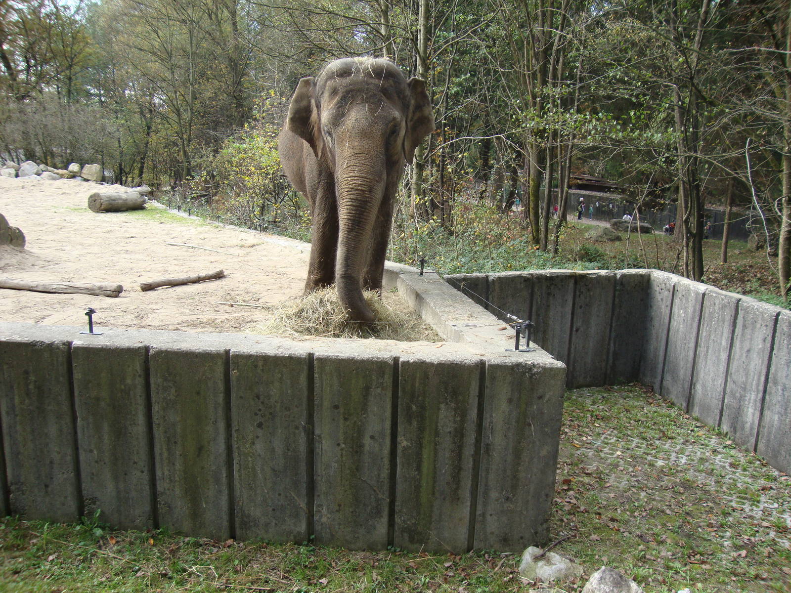 Ljubljana Zoo October 2013
