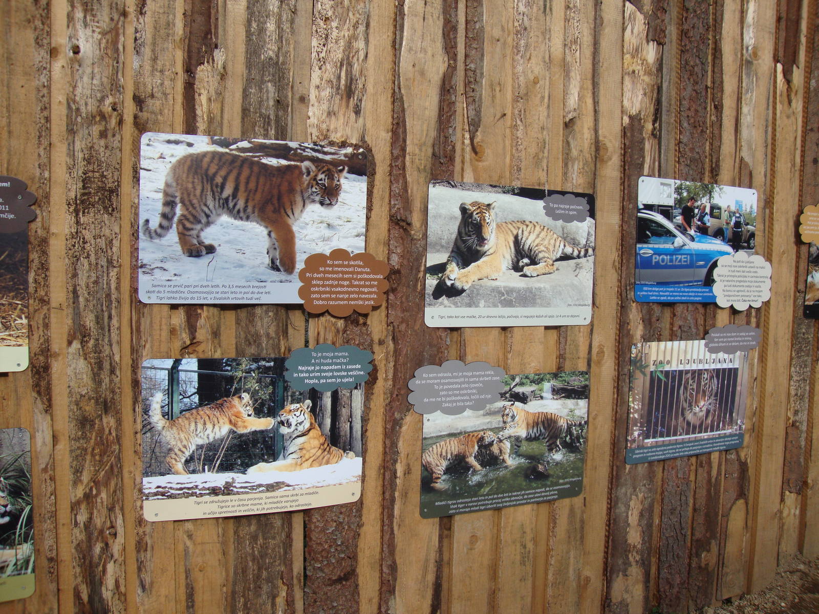 Ljubljana Zoo October 2013