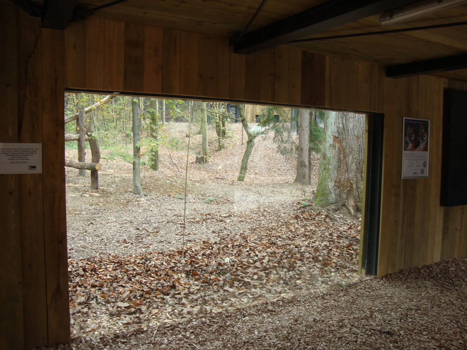 Ljubljana Zoo October 2013