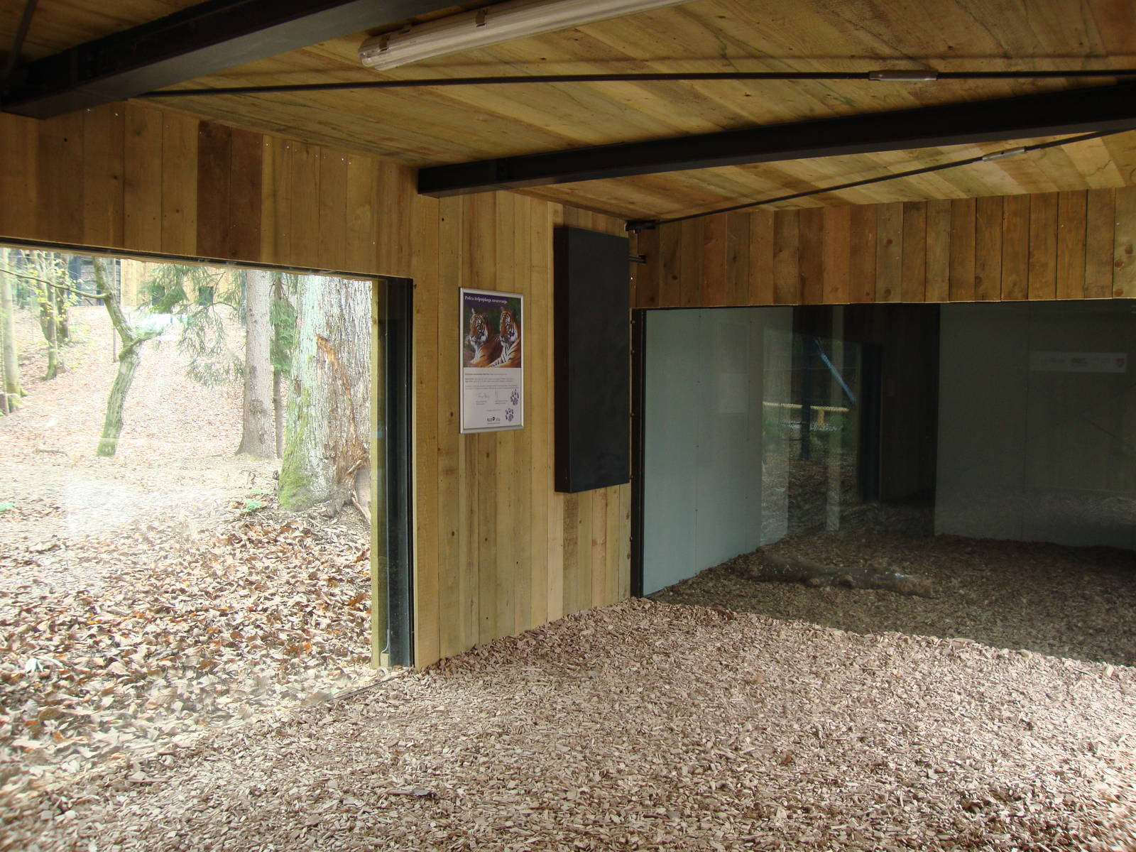 Ljubljana Zoo October 2013