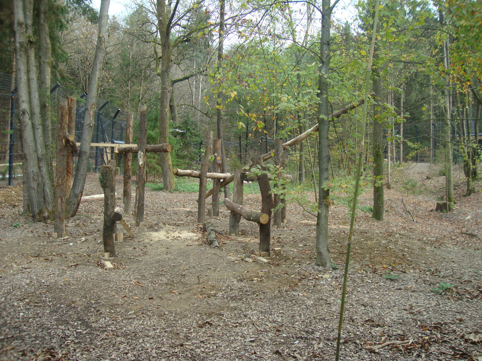 Ljubljana Zoo October 2013