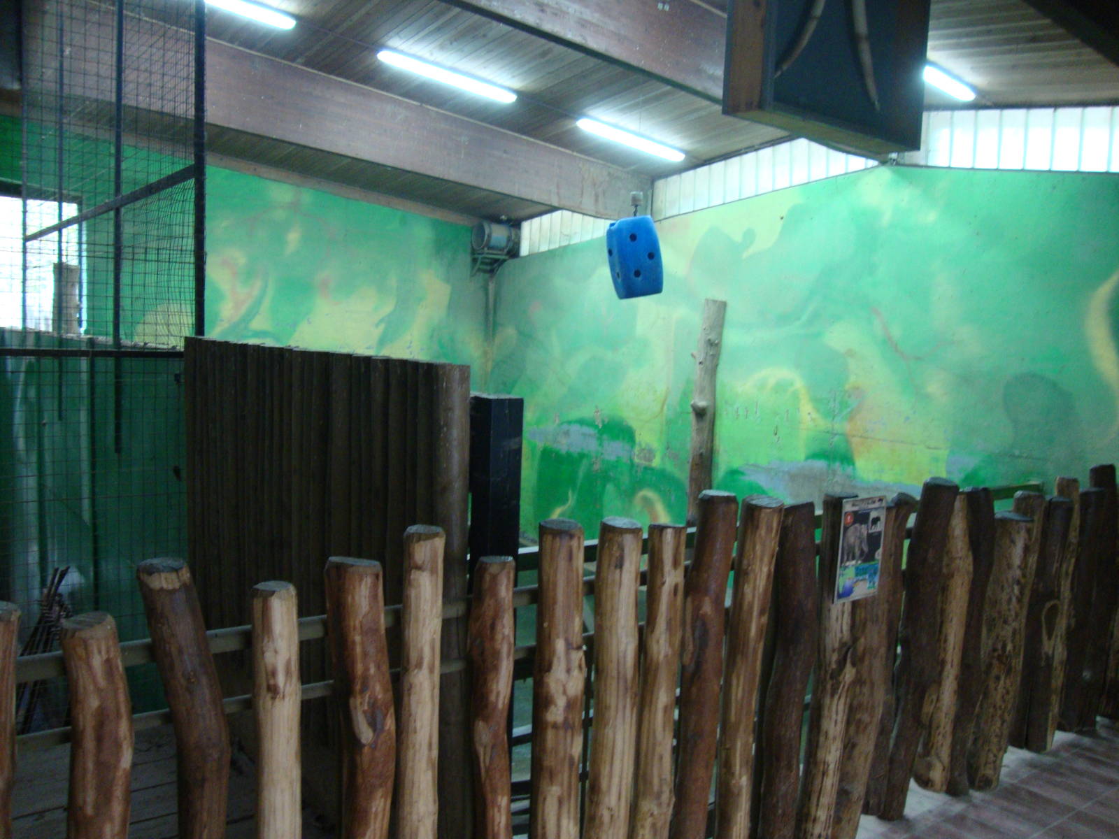 Ljubljana Zoo October 2013