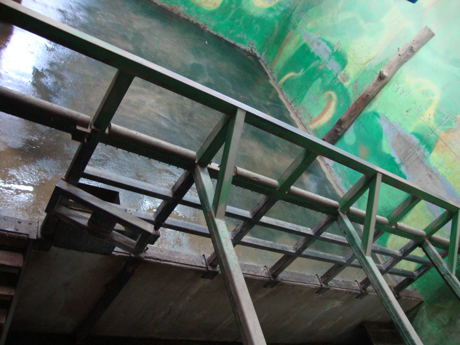 Ljubljana Zoo October 2013