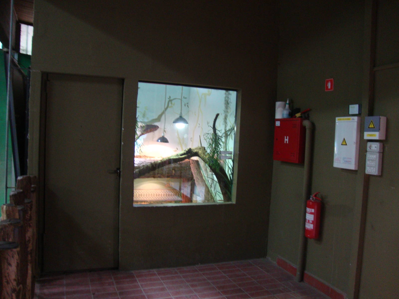 Ljubljana Zoo October 2013