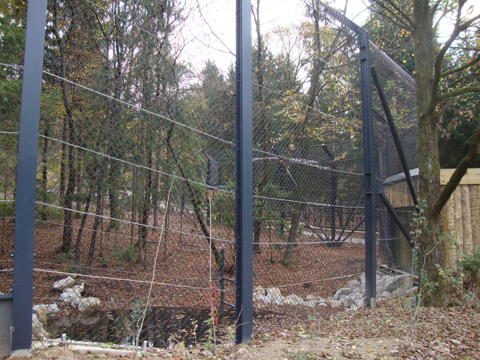 Ljubljana Zoo October 2013