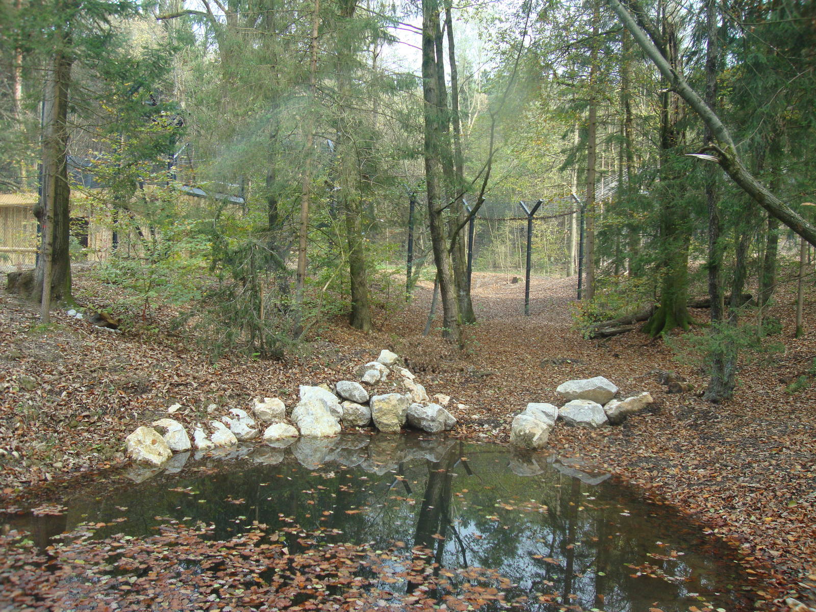 Ljubljana Zoo October 2013