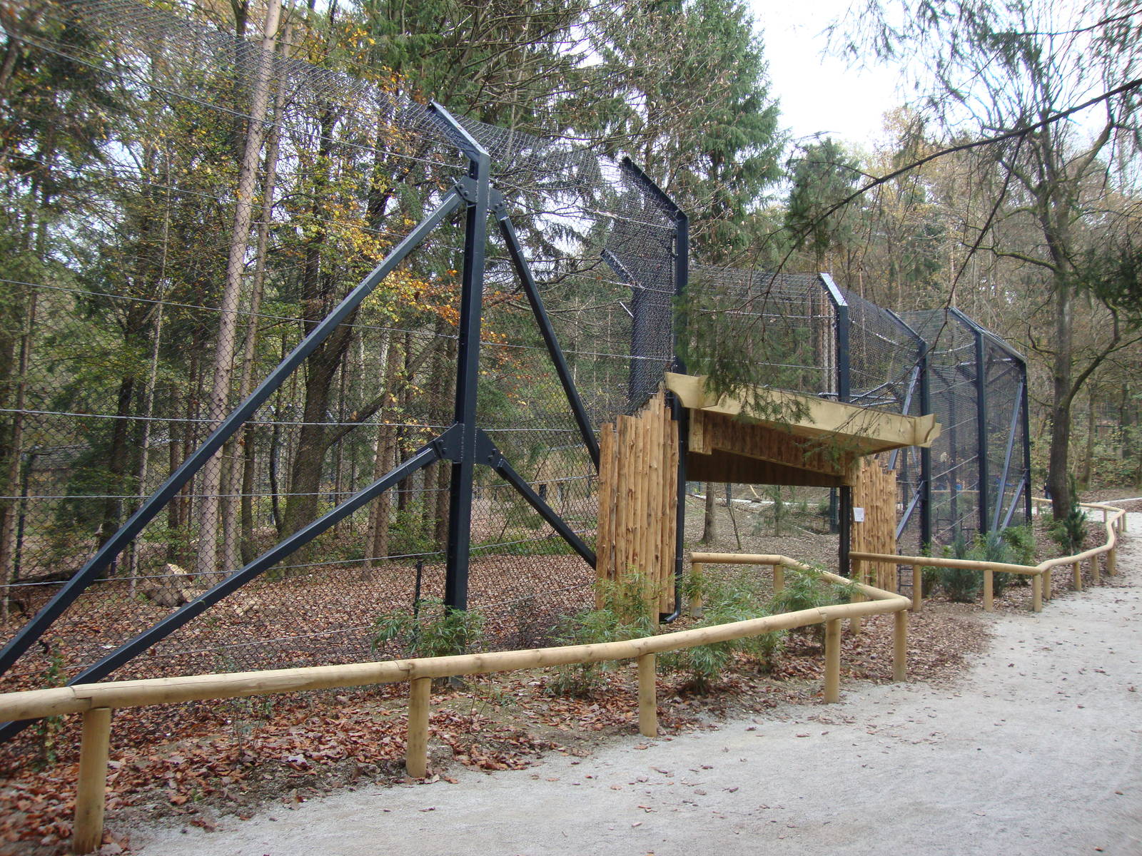 Ljubljana Zoo October 2013