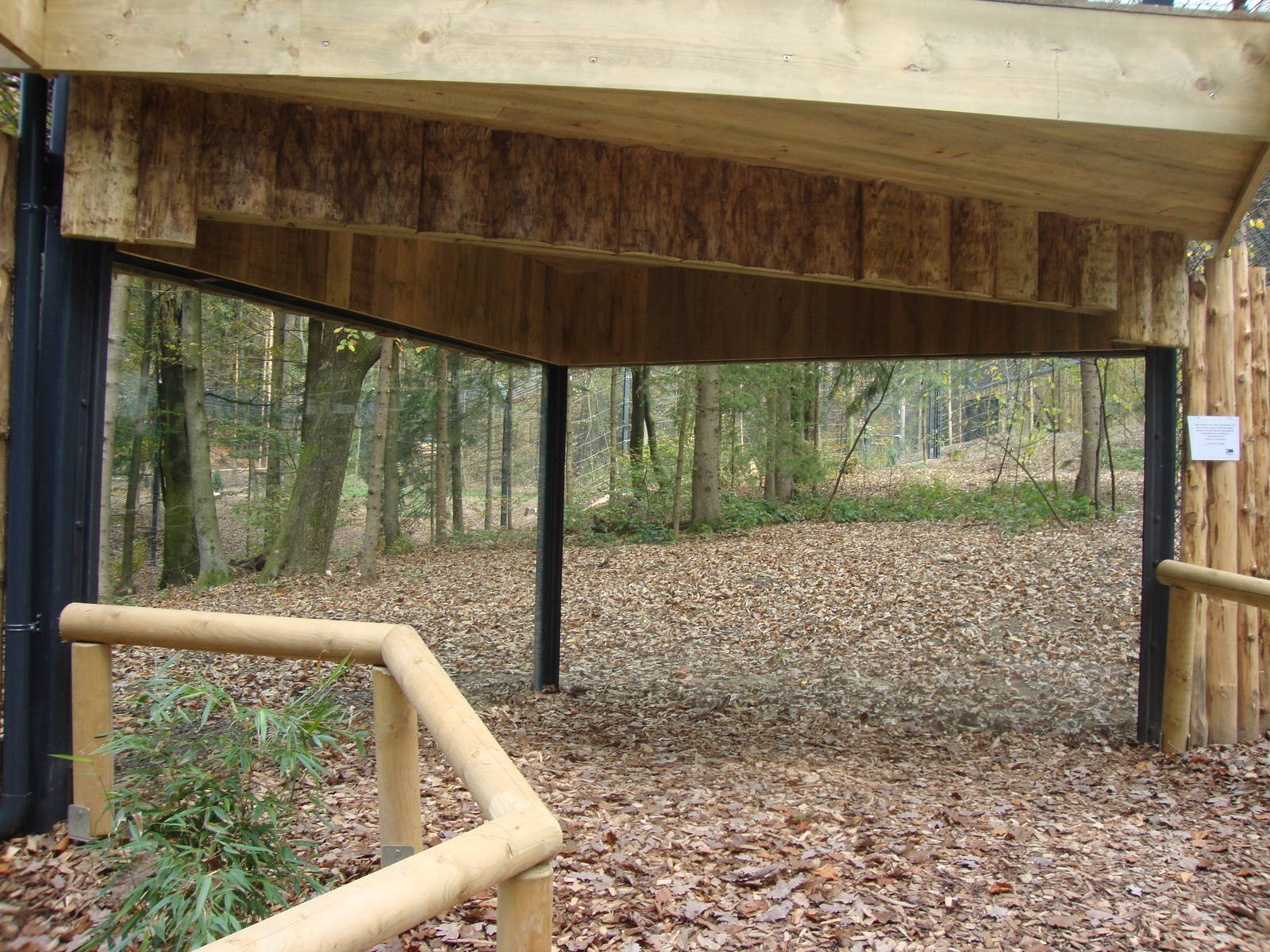 Ljubljana Zoo October 2013