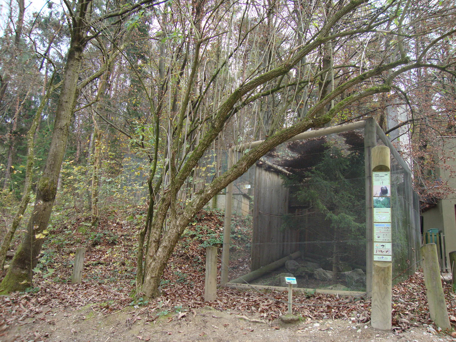 Ljubljana Zoo October 2013