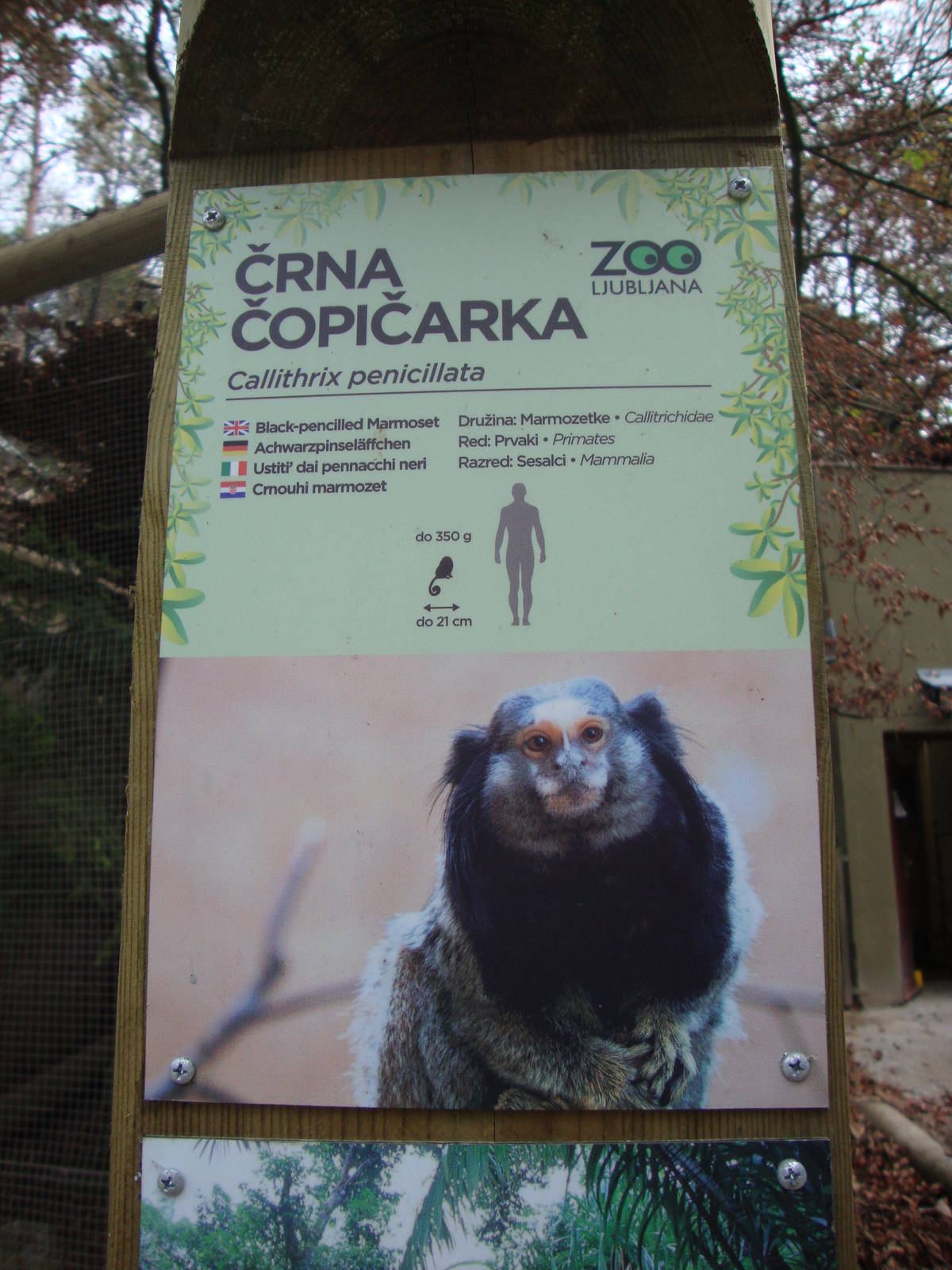 Ljubljana Zoo October 2013