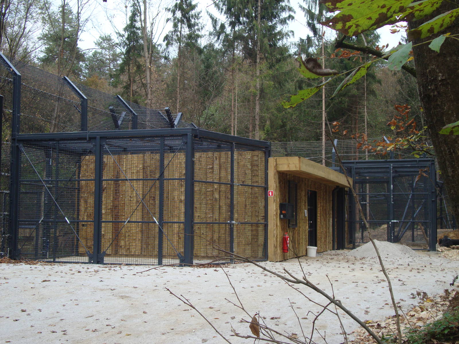 Ljubljana Zoo October 2013