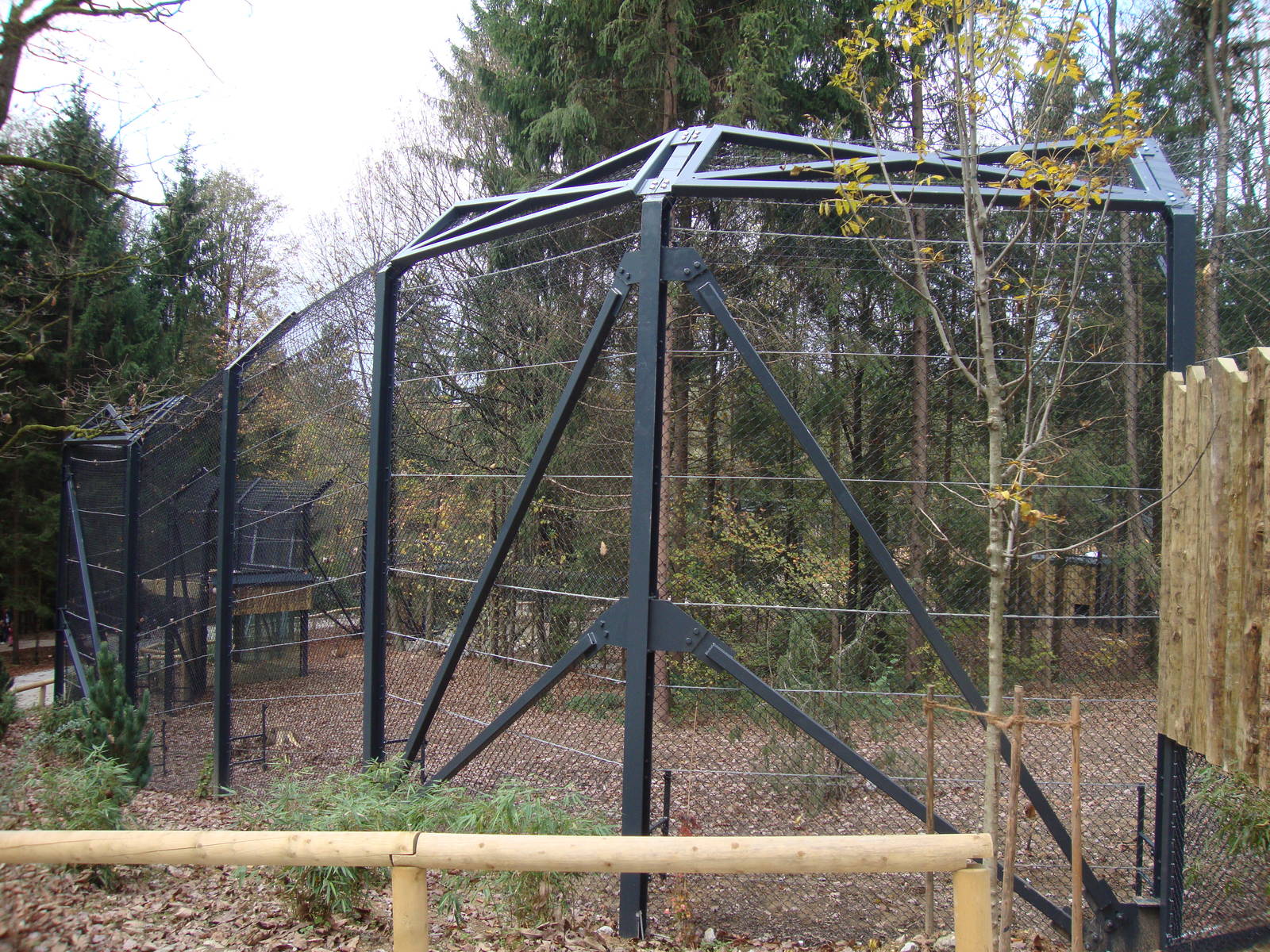 Ljubljana Zoo October 2013