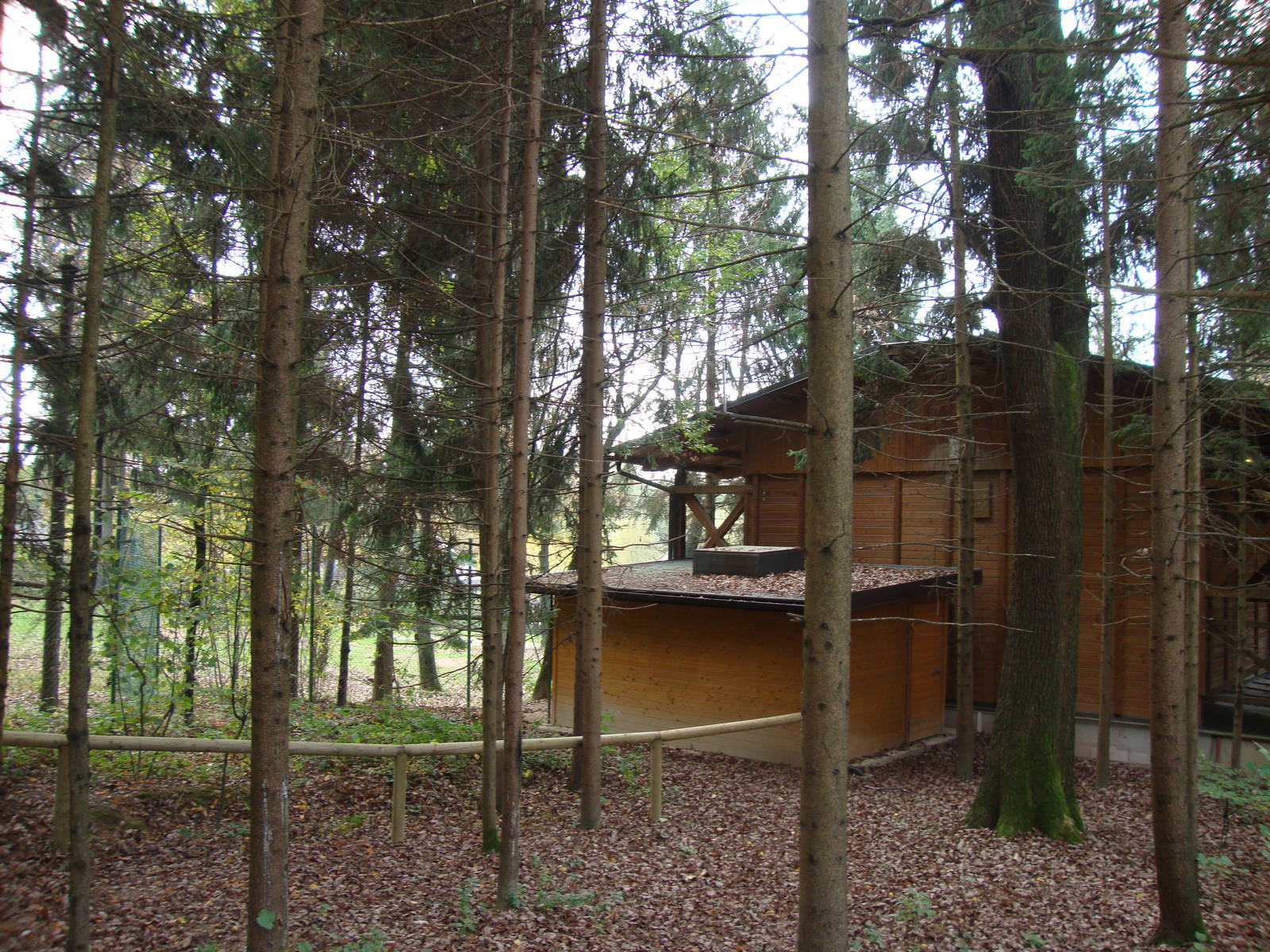 Ljubljana Zoo October 2013