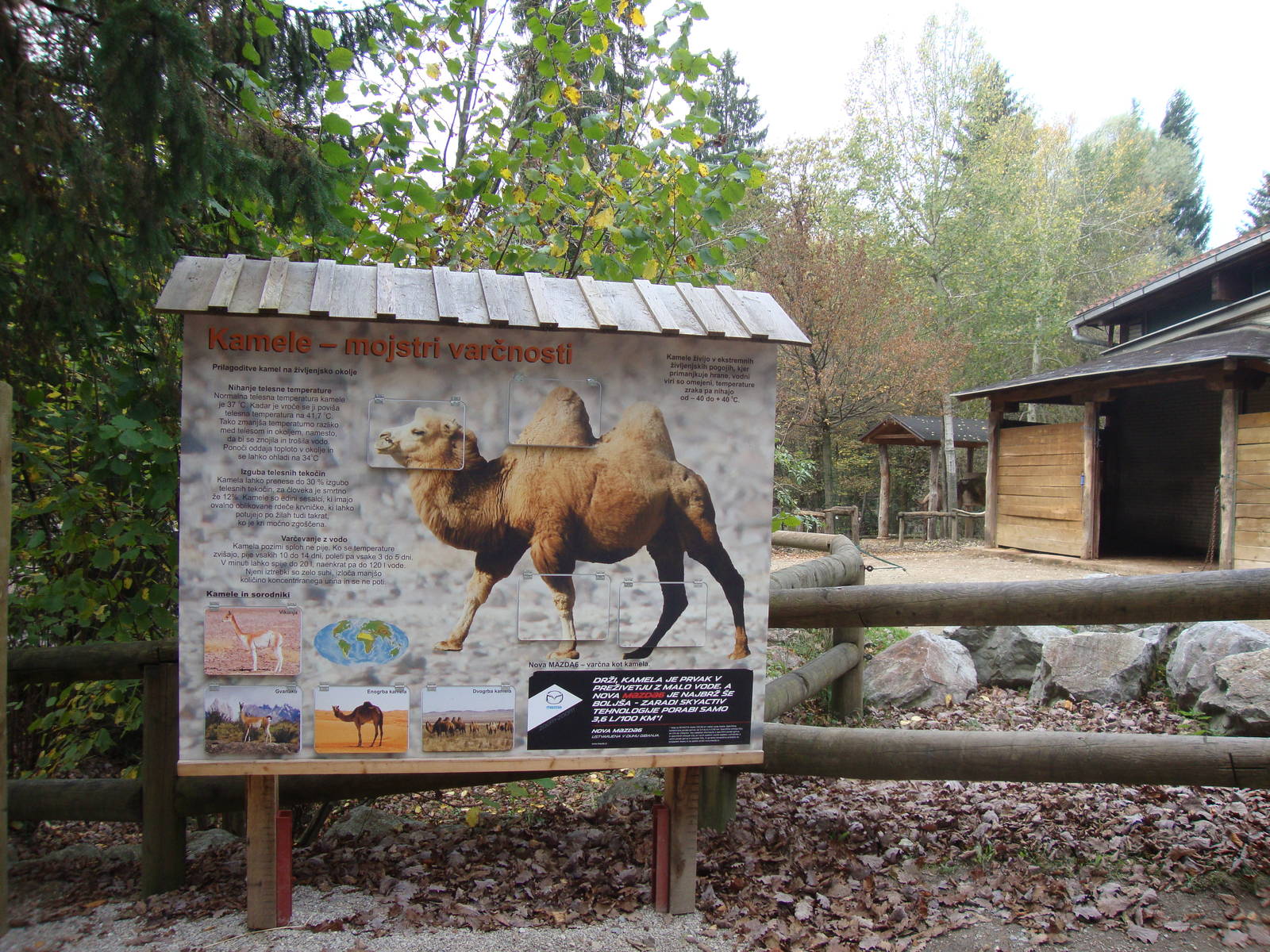 Ljubljana Zoo October 2013