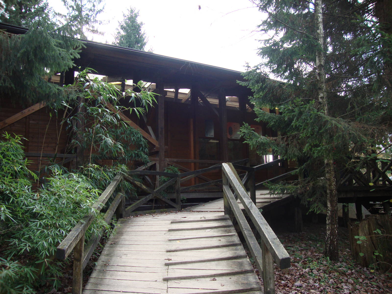 Ljubljana Zoo October 2013