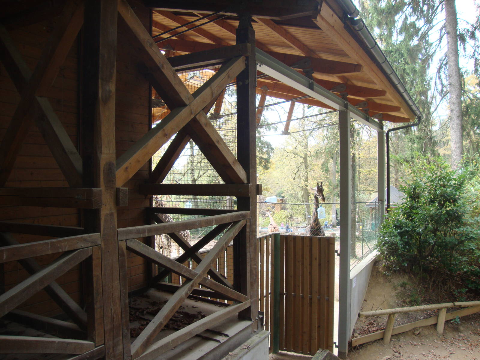 Ljubljana Zoo October 2013