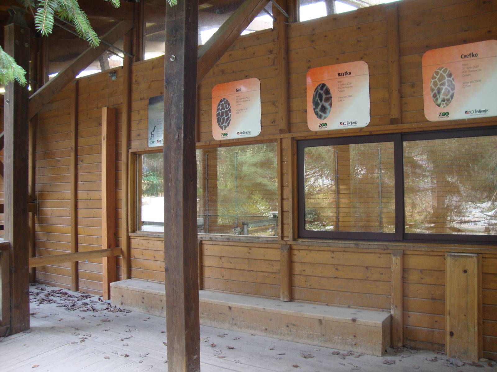 Ljubljana Zoo October 2013