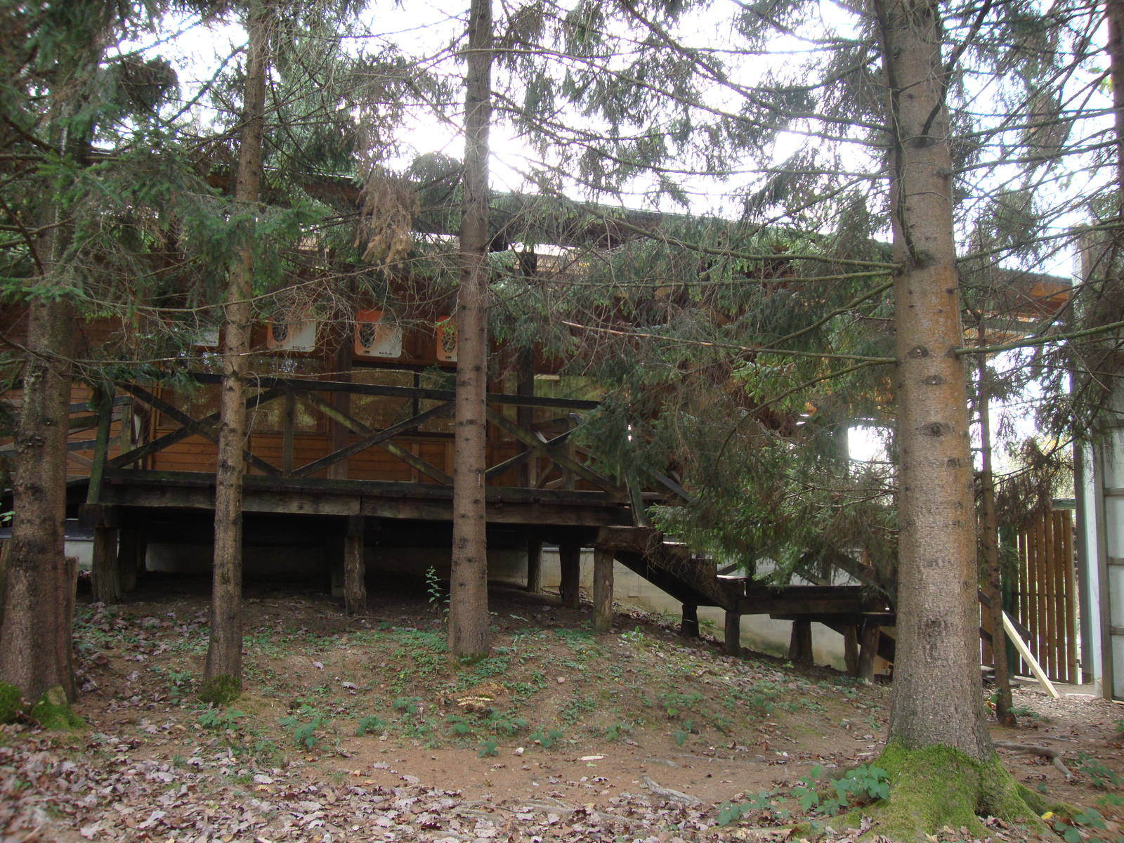 Ljubljana Zoo October 2013