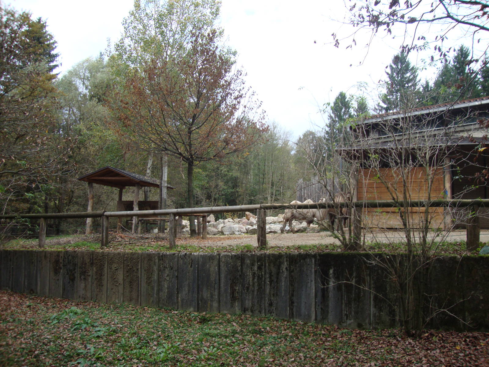Ljubljana Zoo October 2013