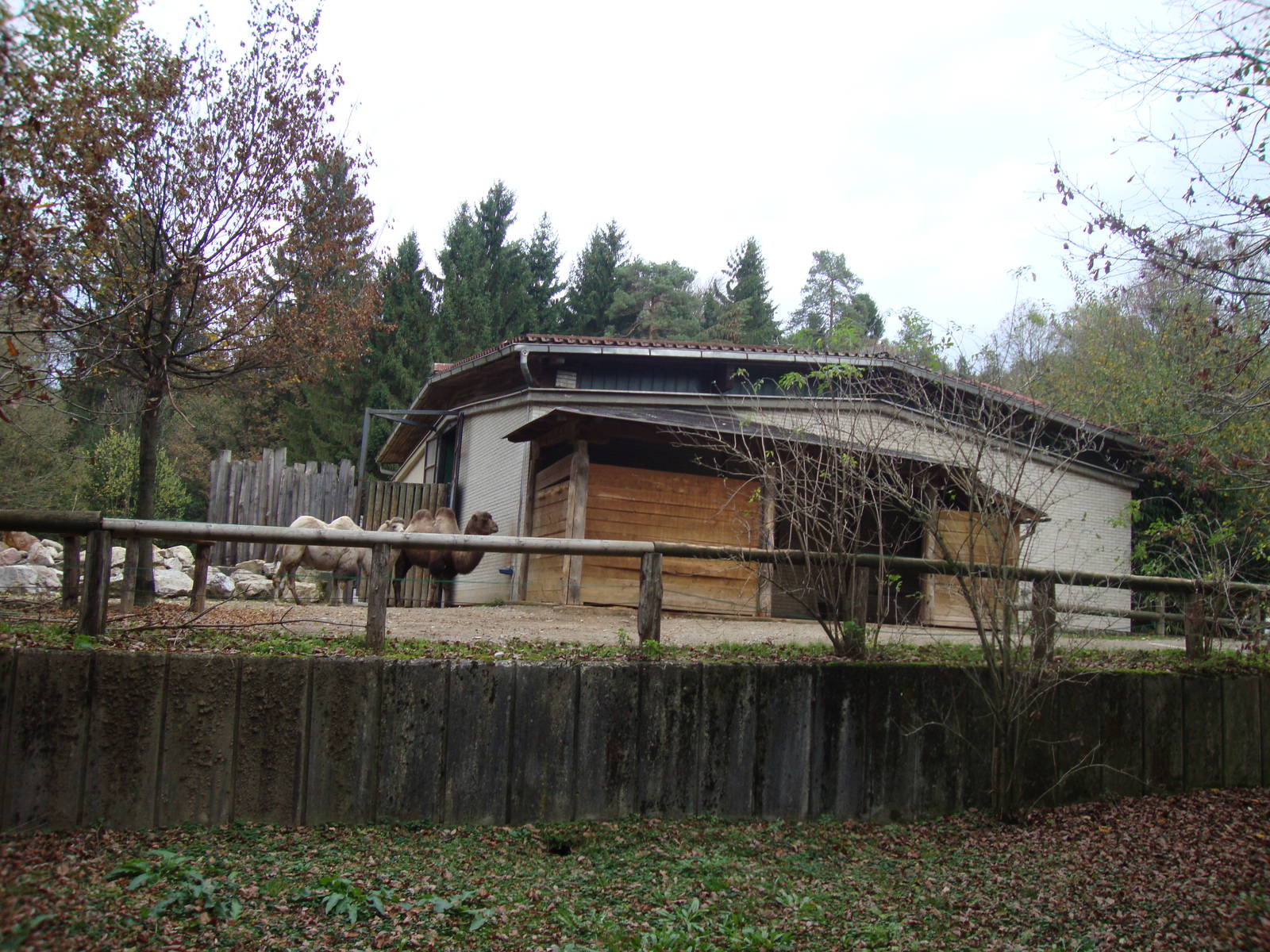 Ljubljana Zoo October 2013