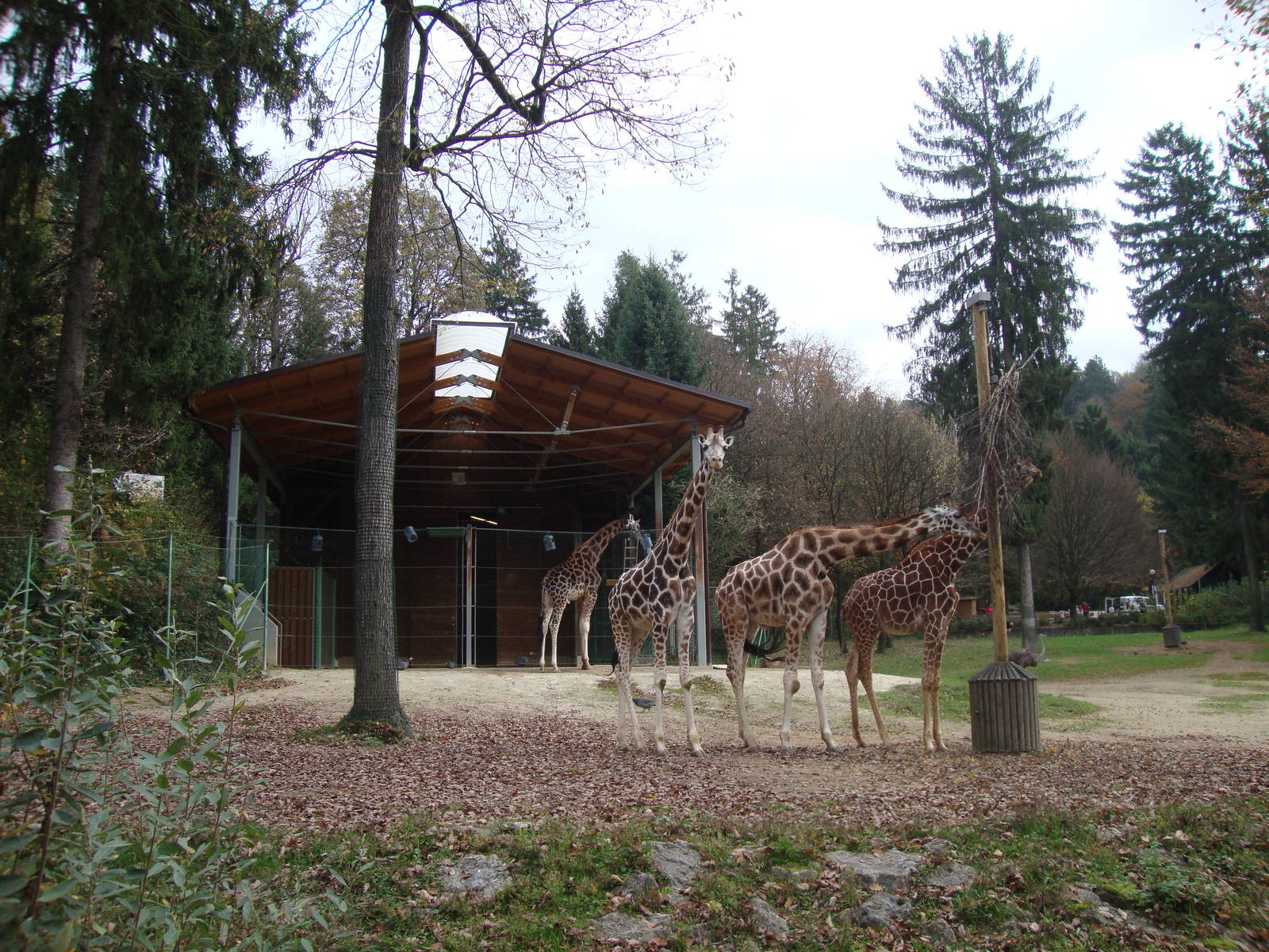 Ljubljana Zoo October 2013