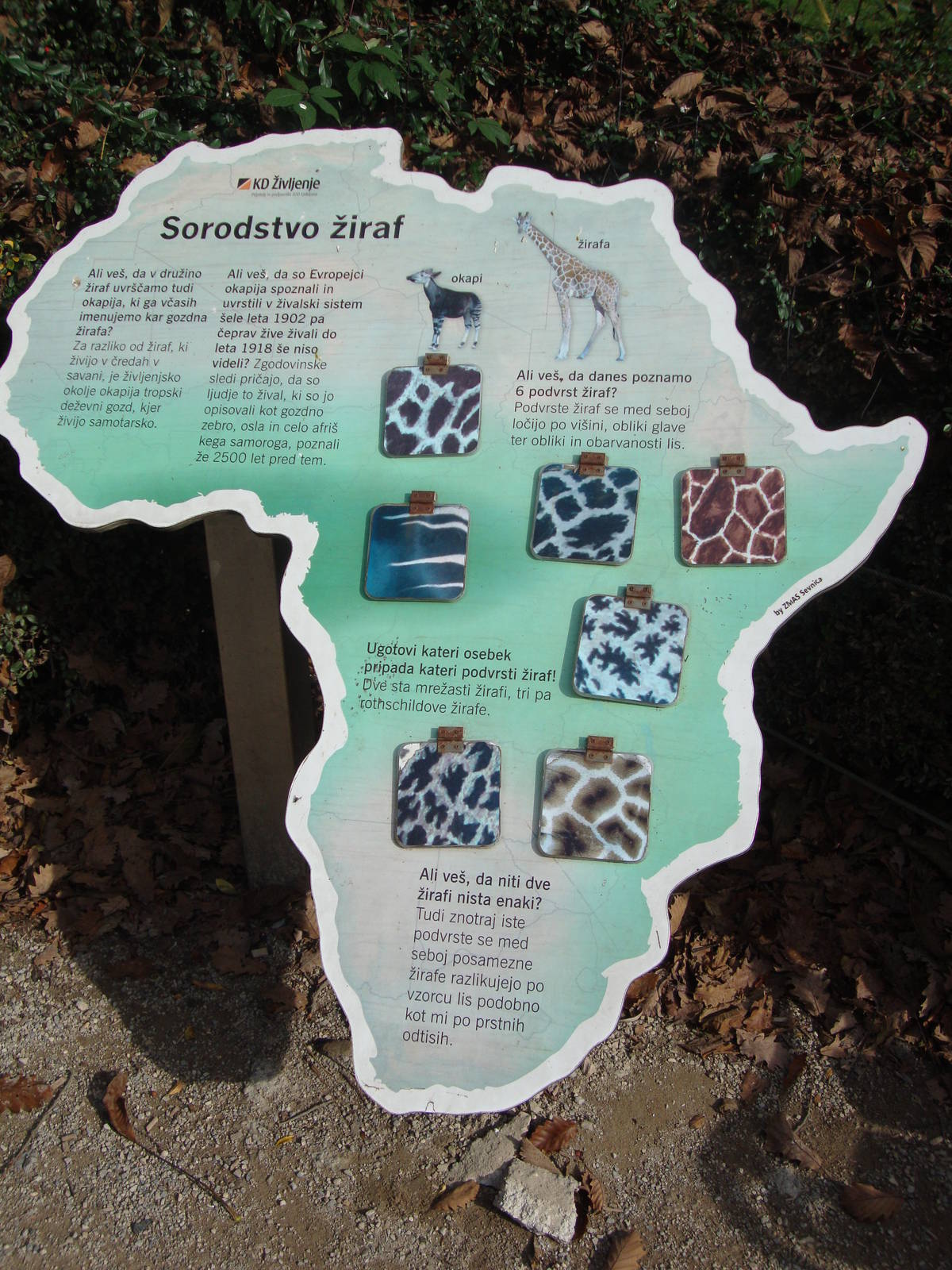 Ljubljana Zoo October 2013