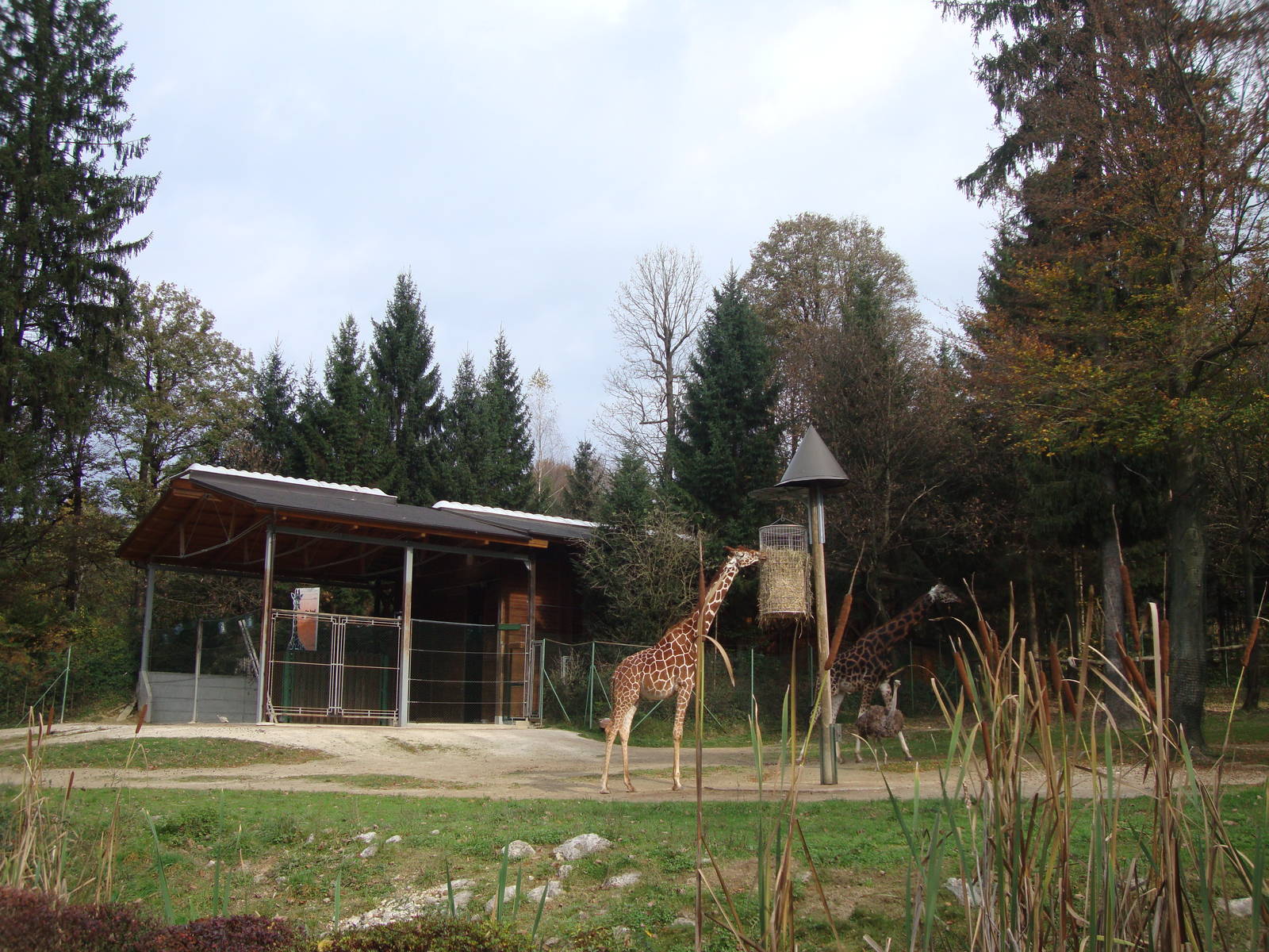 Ljubljana Zoo October 2013