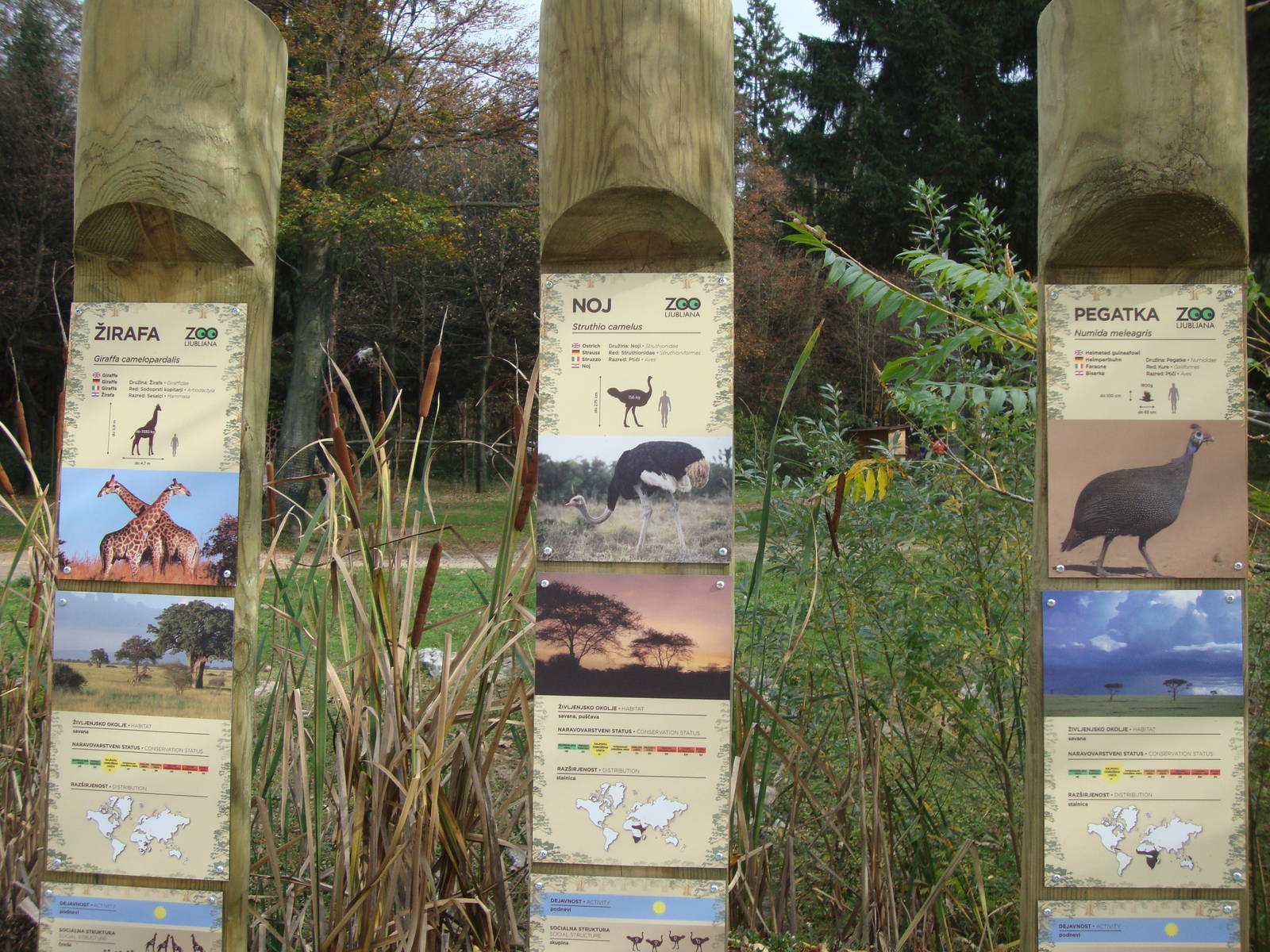 Ljubljana Zoo October 2013