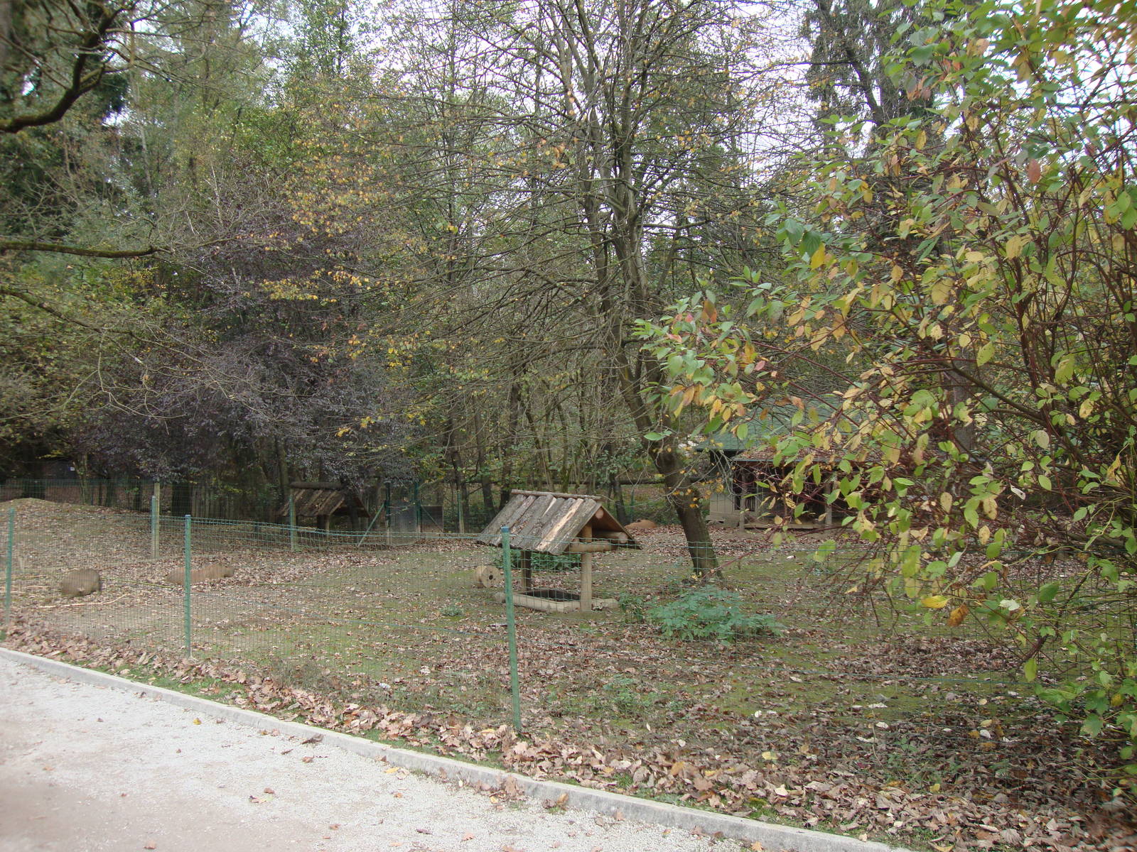 Ljubljana Zoo October 2013