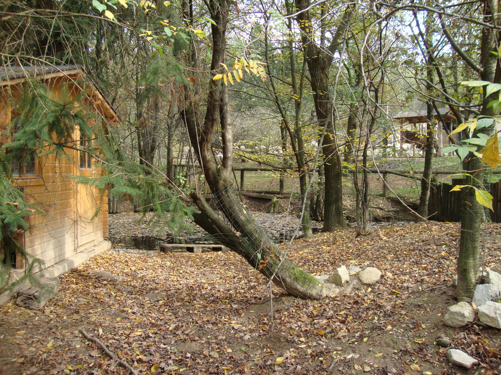 Ljubljana Zoo October 2013