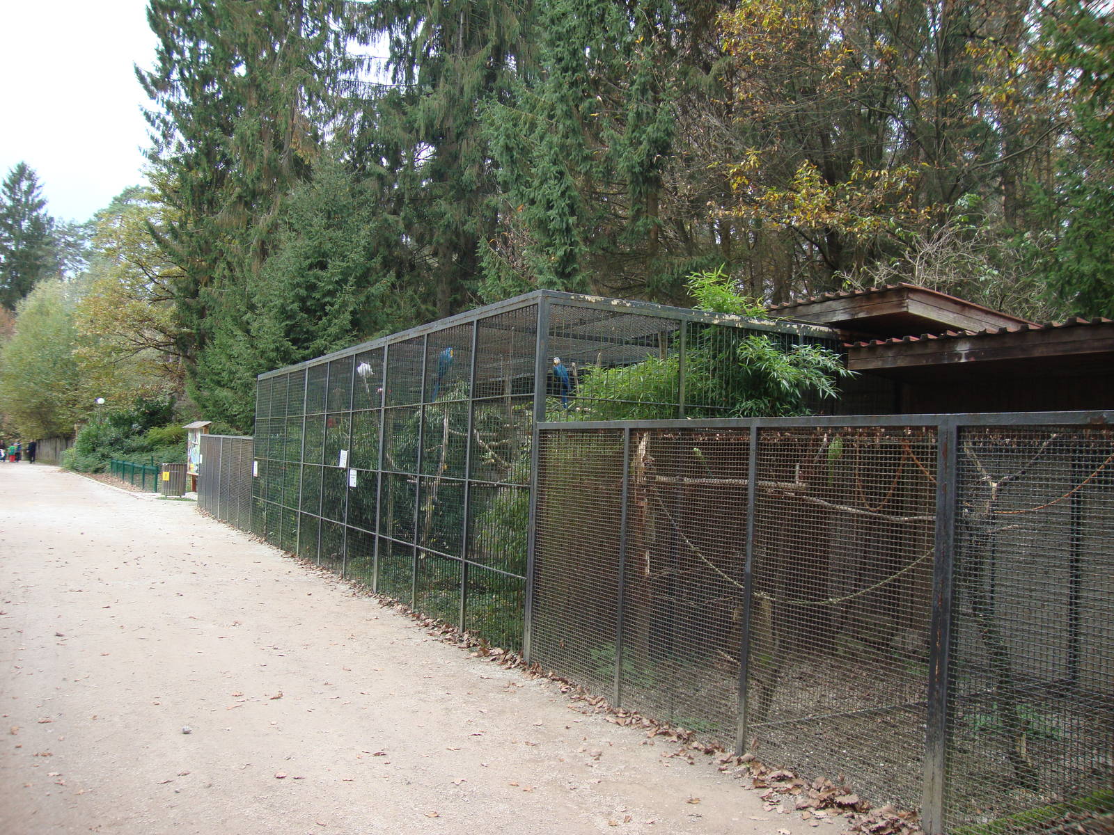 Ljubljana Zoo October 2013