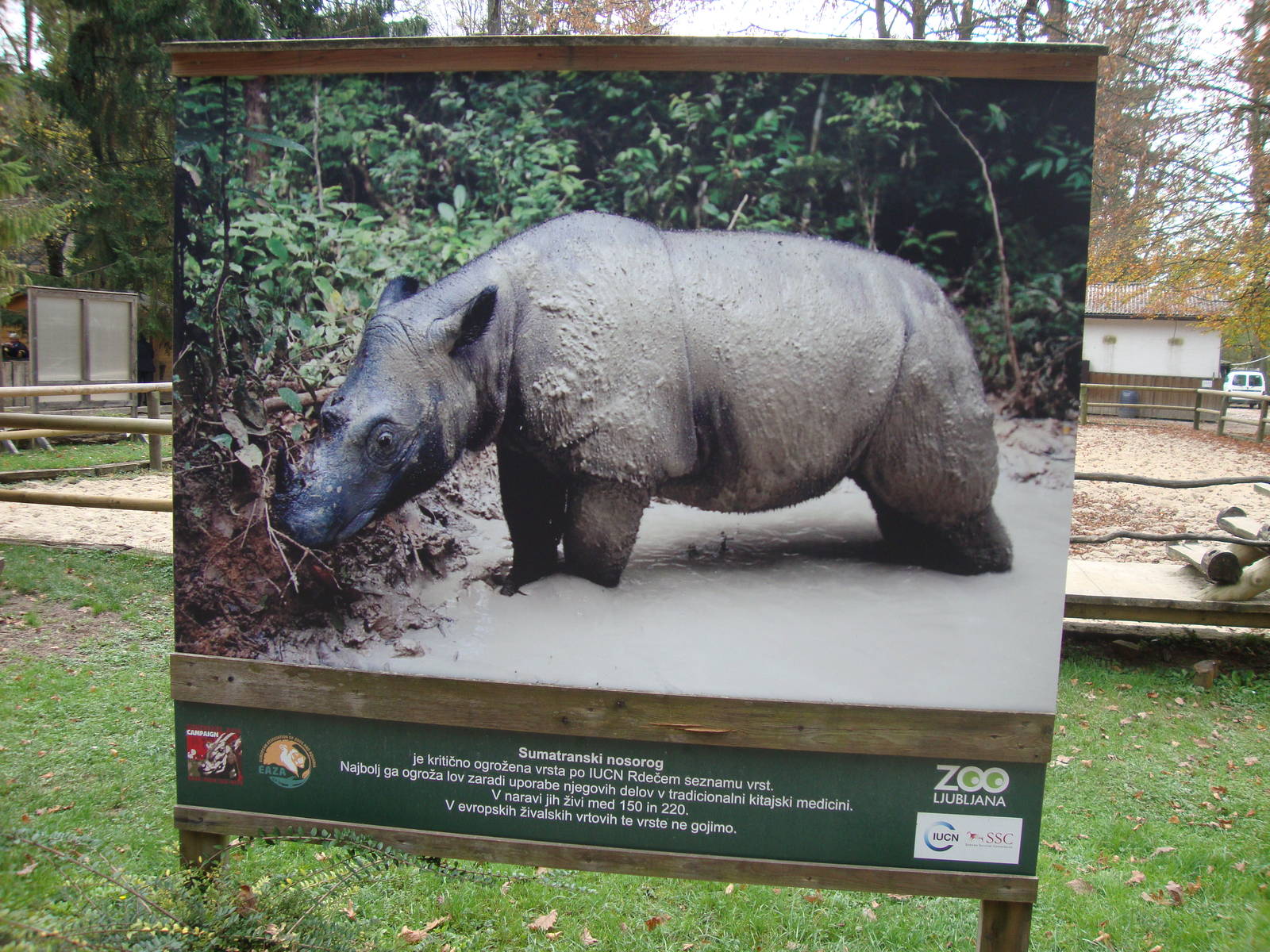 Ljubljana Zoo October 2013